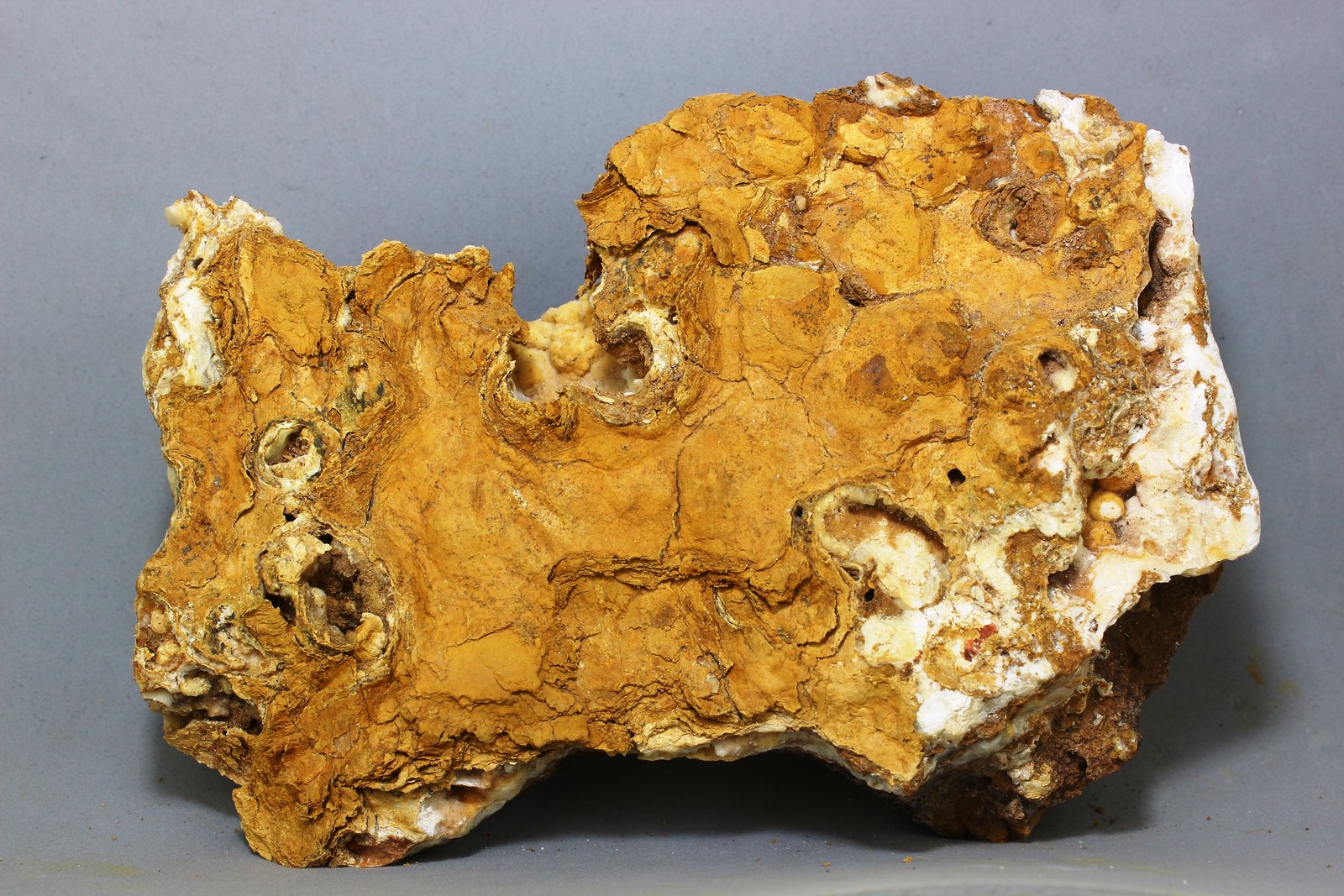 Palygorskita
131x89 mm
(Autor: Juan Espino)