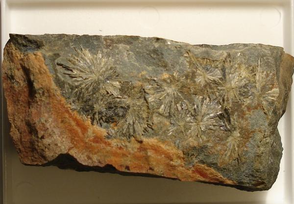 Parasymplesita y arseniosiderita
8 x 4 cm.
(Autor: Echevarria)