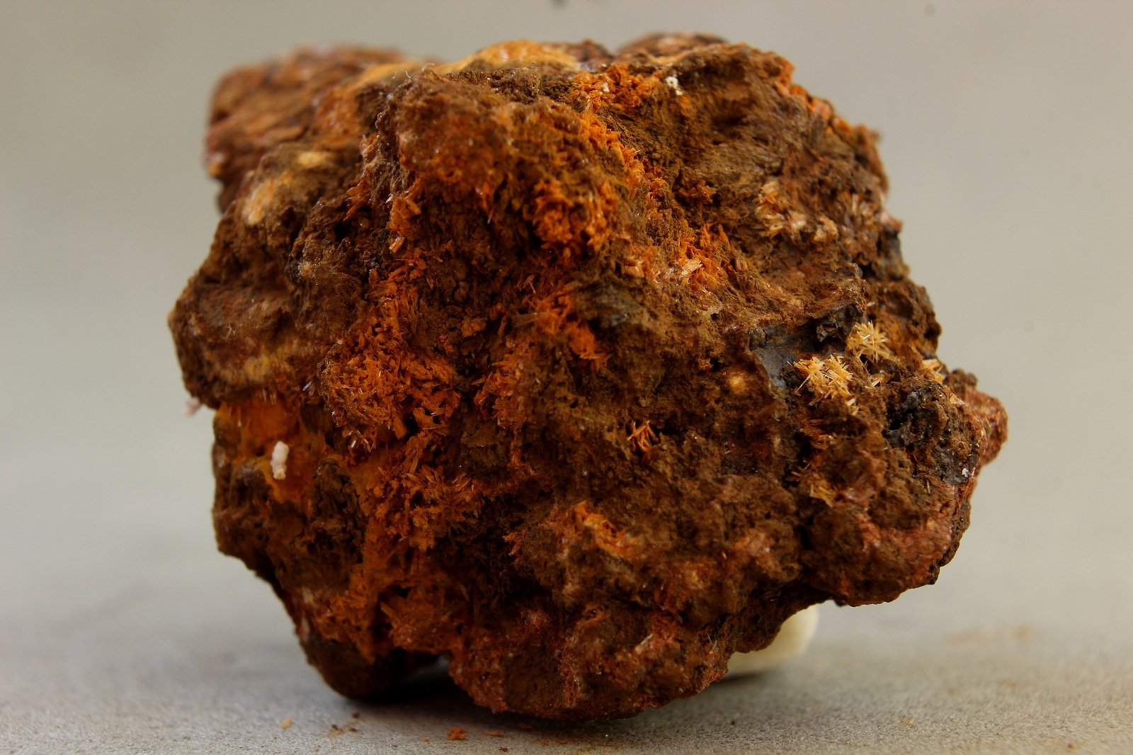 Parahopeita
28X20X18 mm
(Autor: Juan Espino)