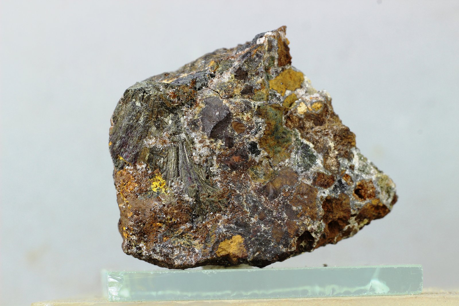 Parasymplesita
39x31 mm.
(Autor: Juan Espino)