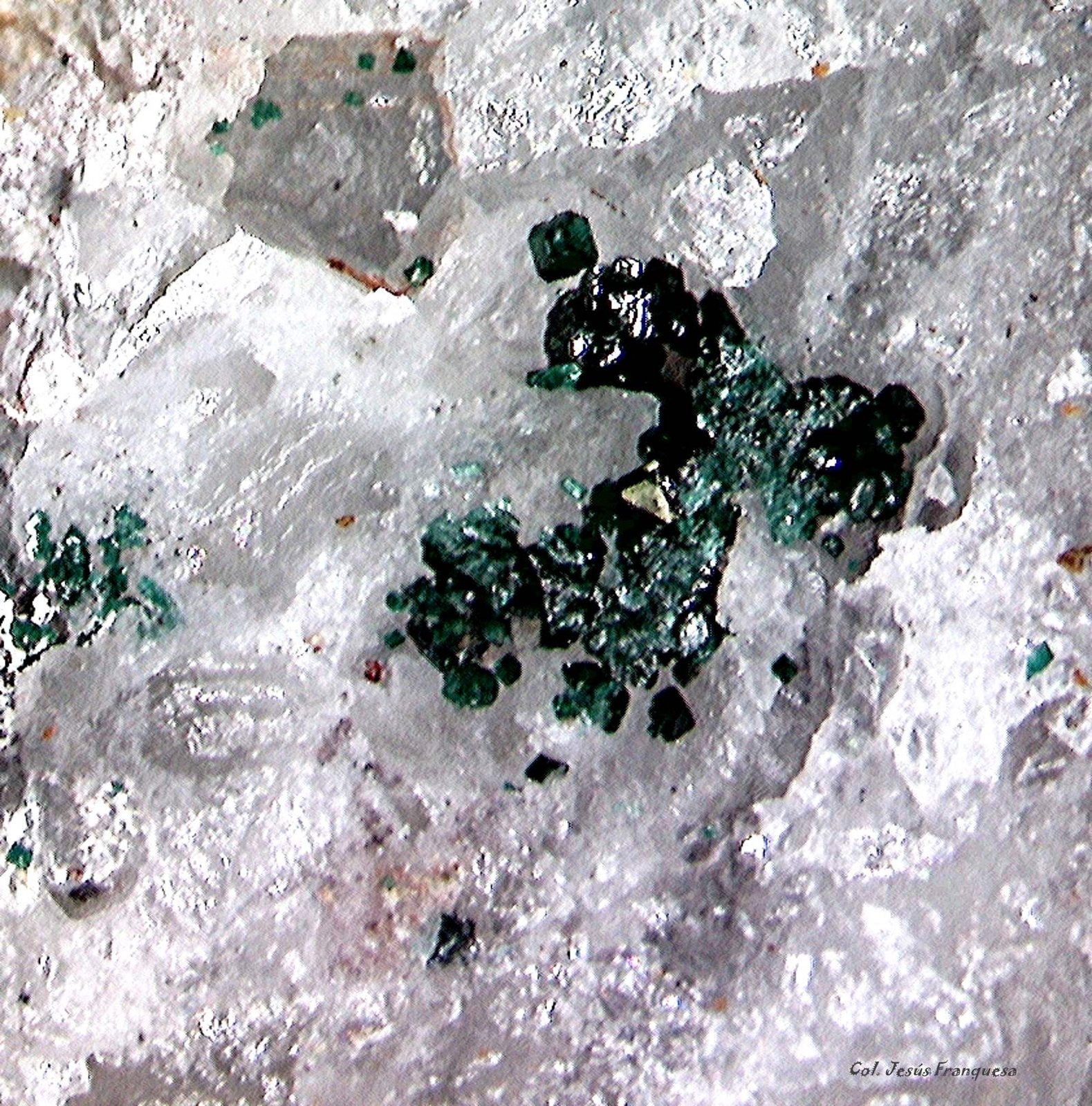 Paratacamita.
2´773 x 2´568 mm.
(Autor: Jesus Franquesa Baucells)