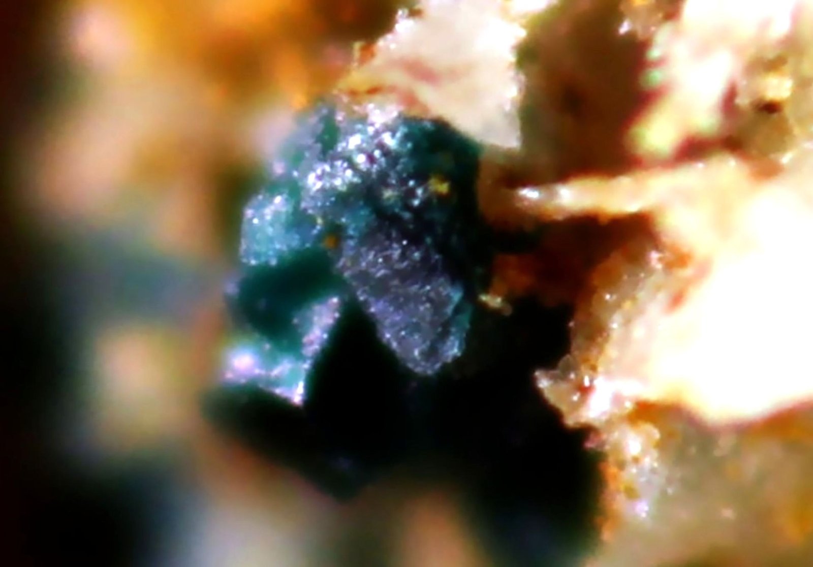 Paratacamita
24 x 19 x 8 mm
(Autor: José Luis Zamora)