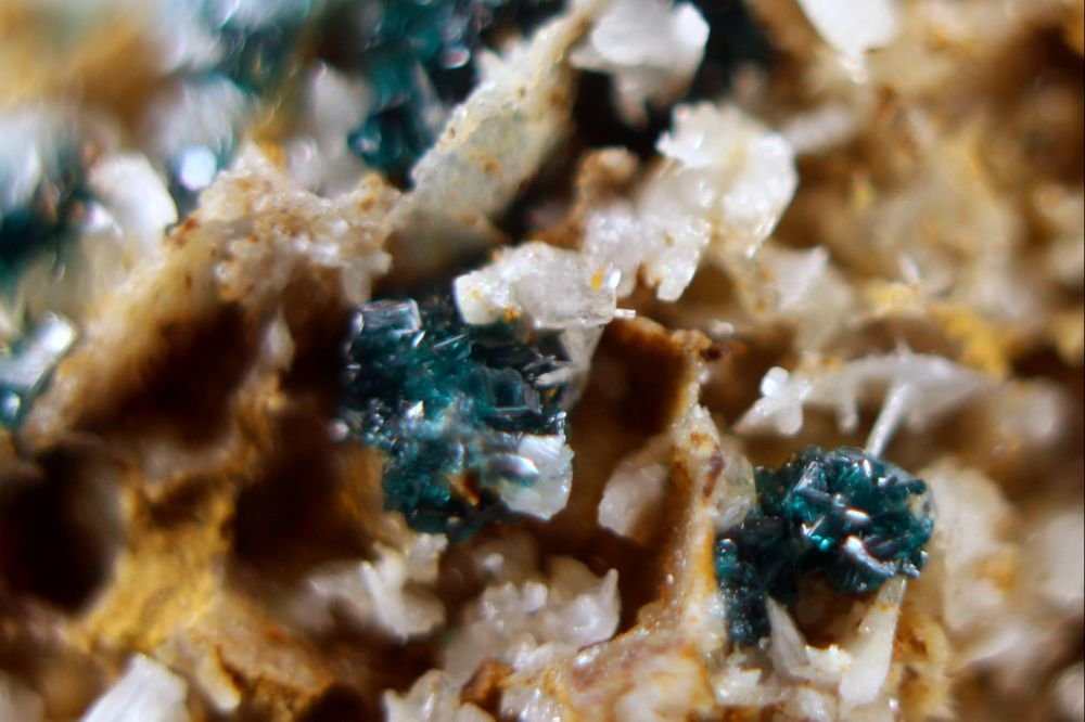 Paratacamita
40 x 26 x 18 mm.
(Autor: José Luis Zamora)