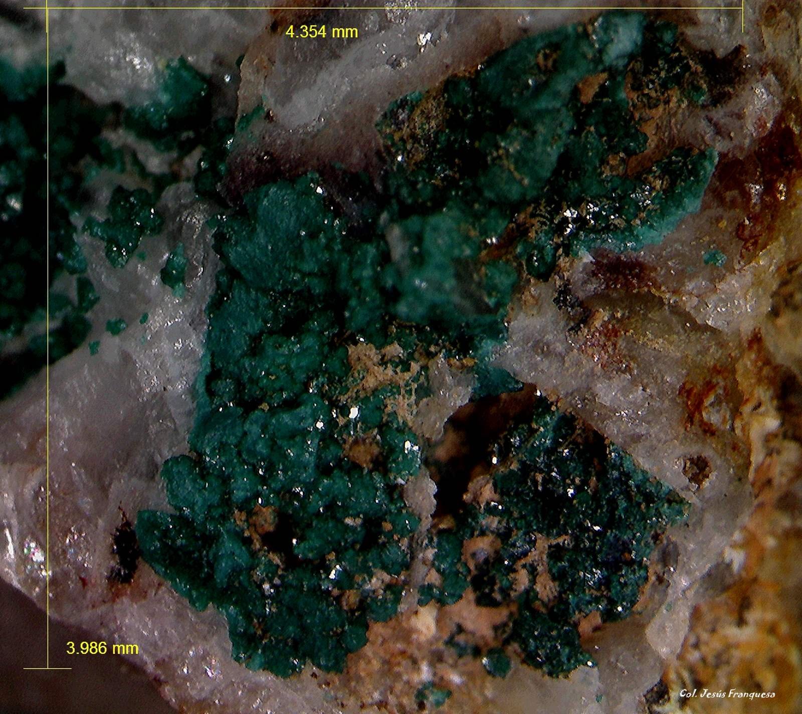 Paratacamita.
4´354 x 3´986 mm.
(Autor: Jesus Franquesa Baucells)