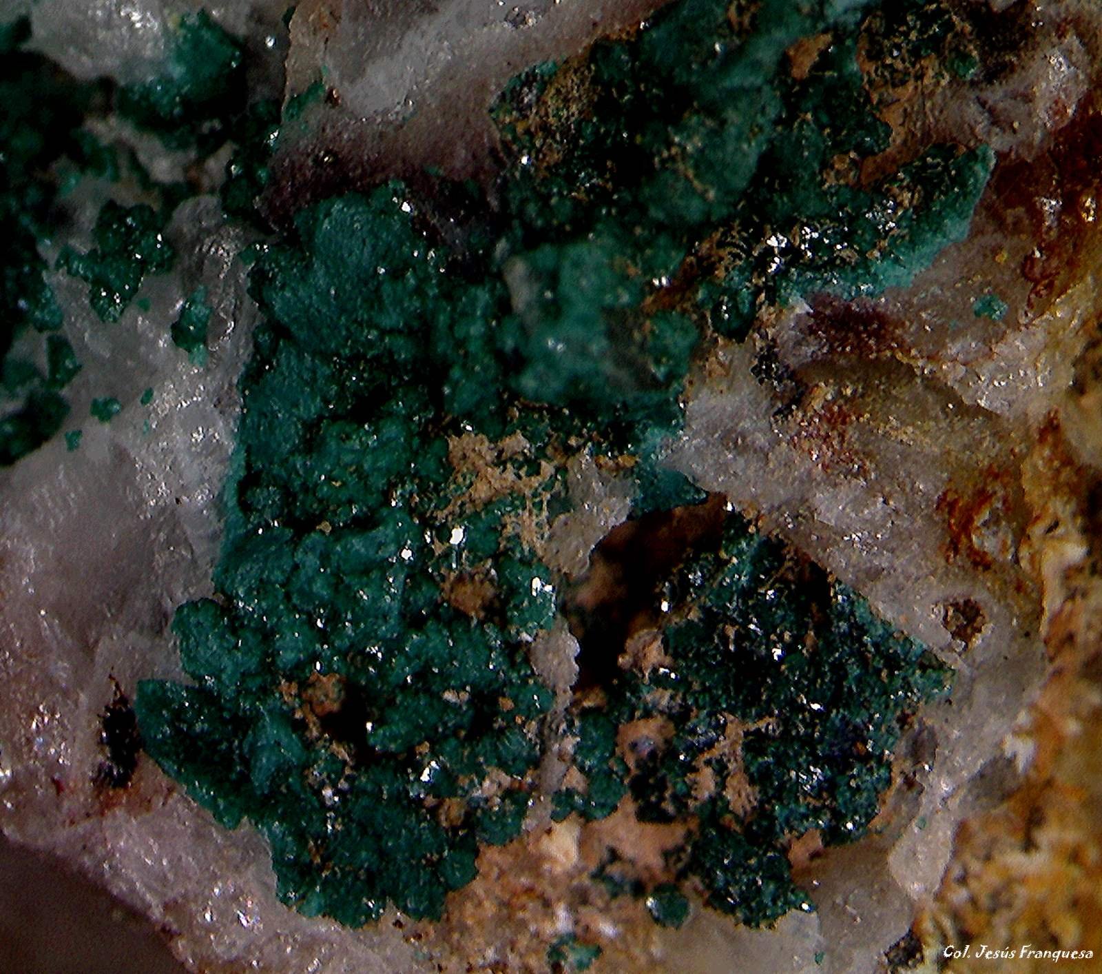 Paratacamita.
4´354 x 3´986 mm.
(Autor: Jesus Franquesa Baucells)
