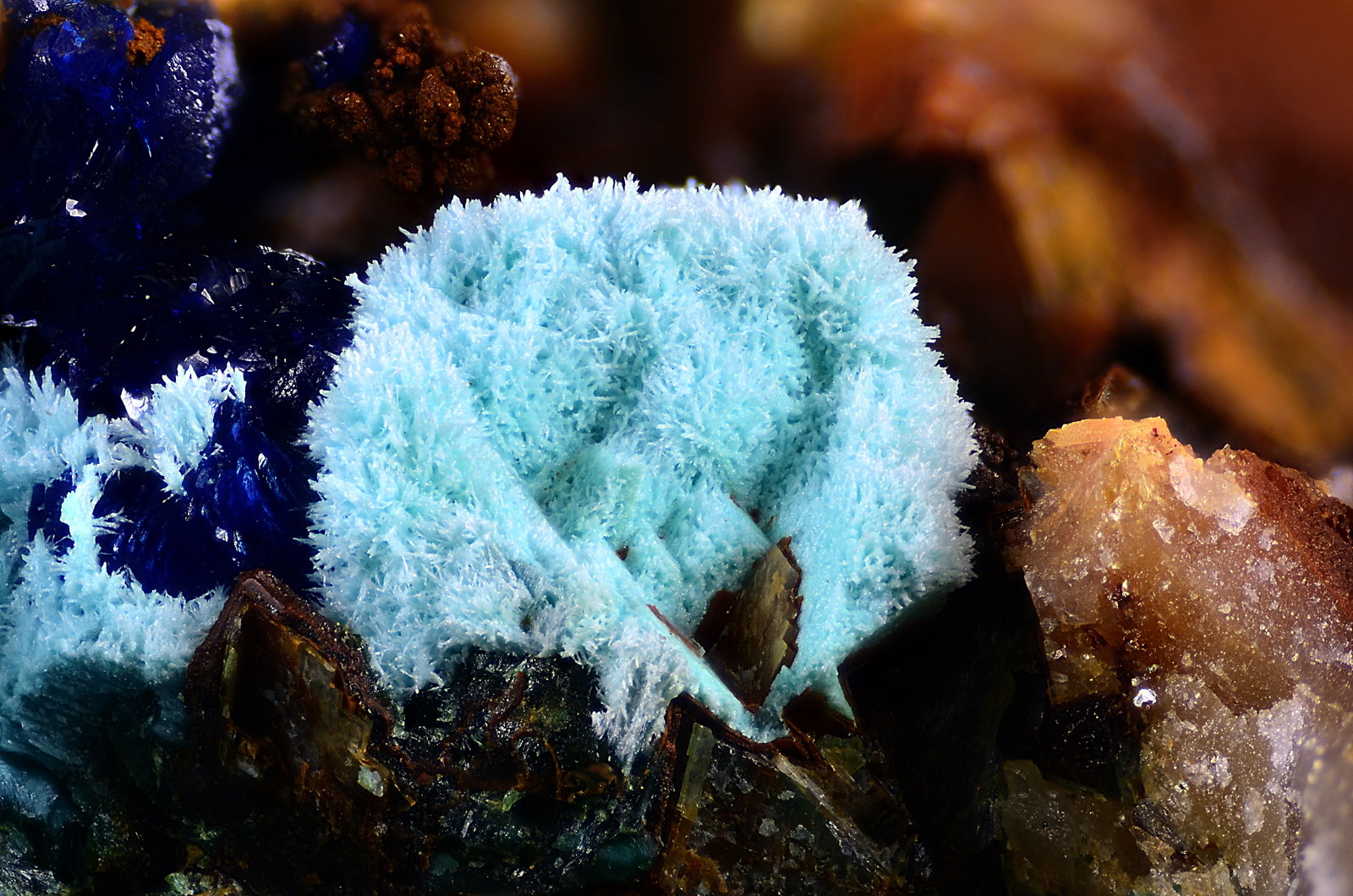 Parnauita
Campo de visión 3,8 mm.
(Autor: Juan Miguel)