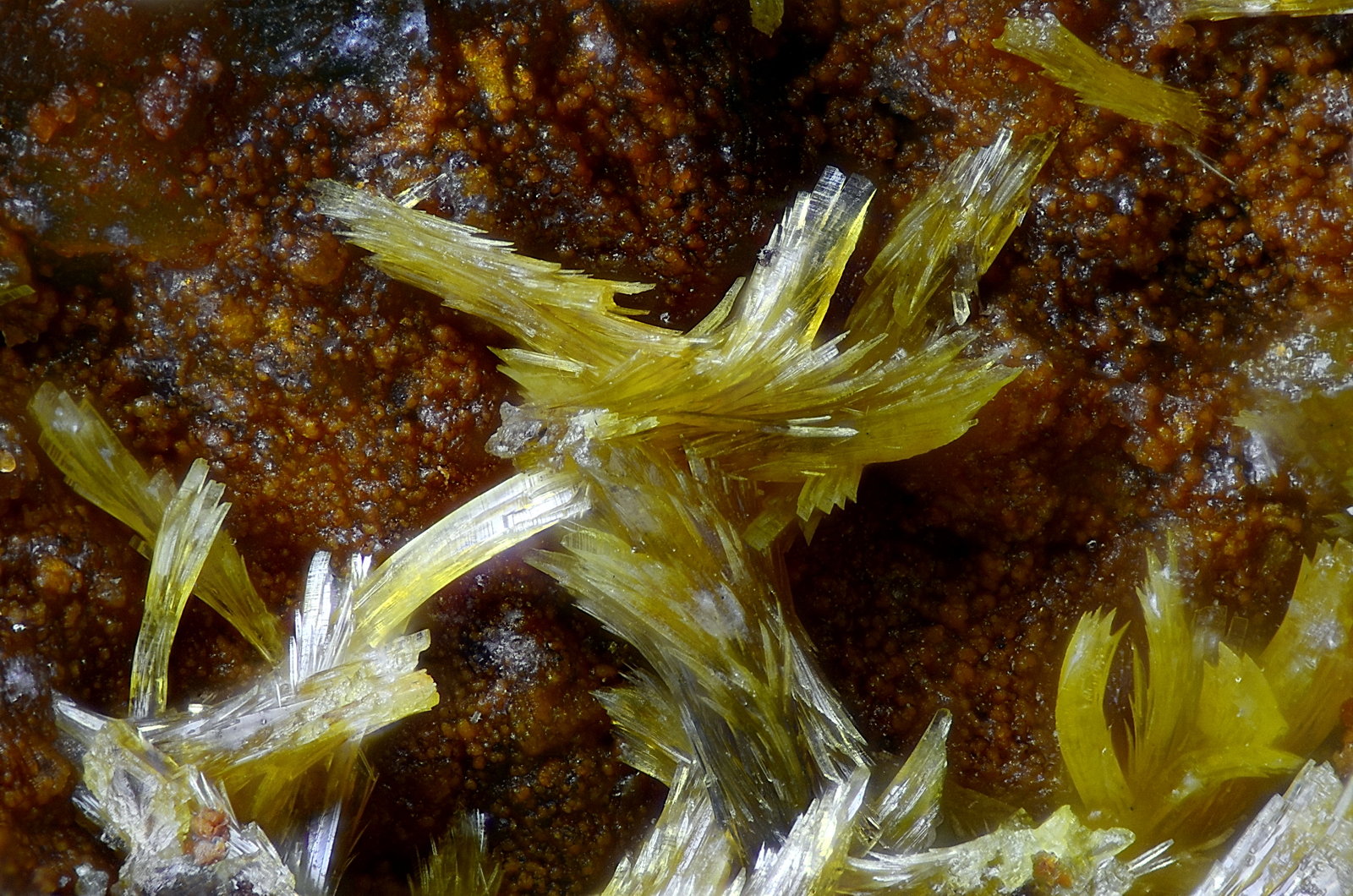 Parsonsita.
Campo de visión 2,2 mm.
(Autor: Juan Miguel)