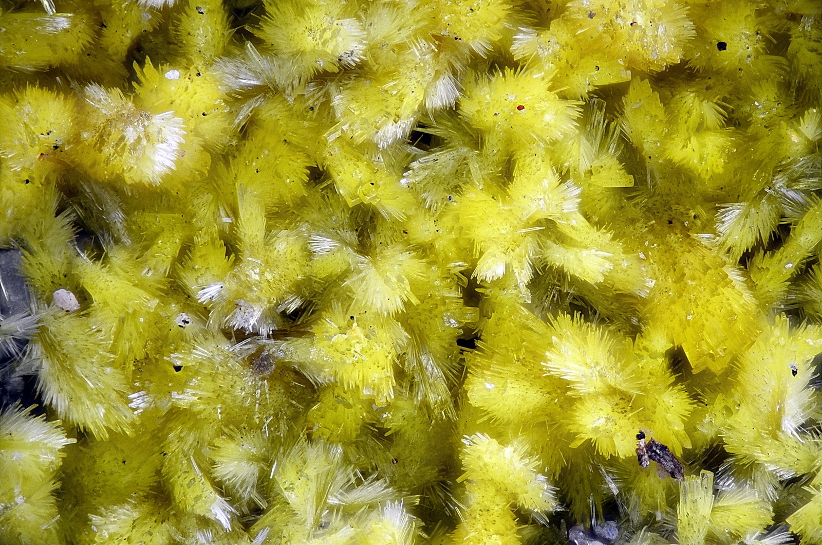 Parsonsita
Campo de visión 2 mm
(Autor: Juan Miguel)