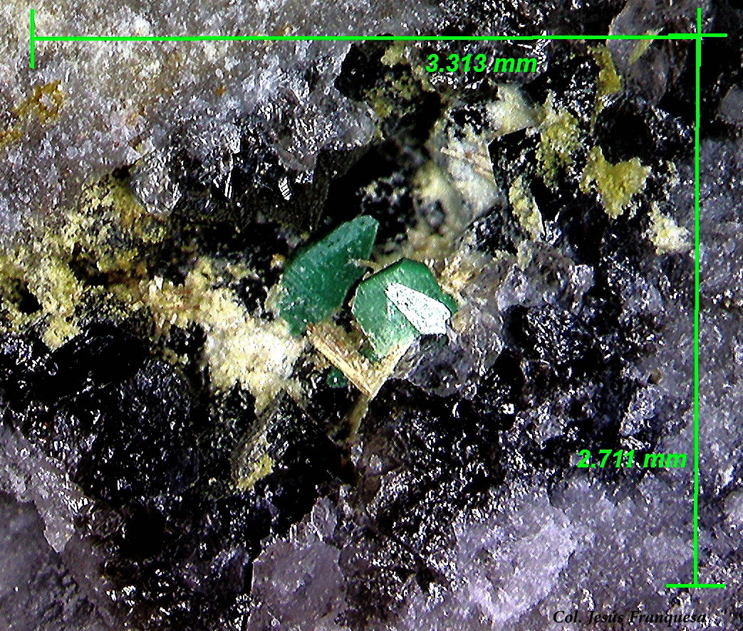 Parsonsita y Metatorbenita.
3´71 x 3´31 mm.
(Autor: Jesus Franquesa Baucells)