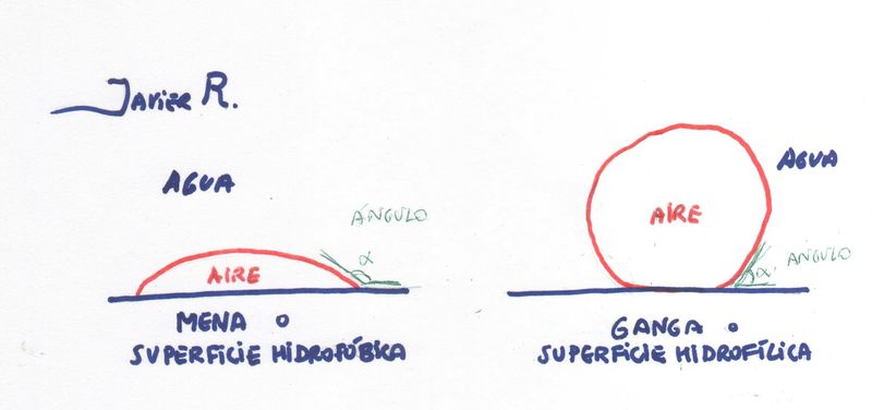 (Autor: Javier Rodriguez)