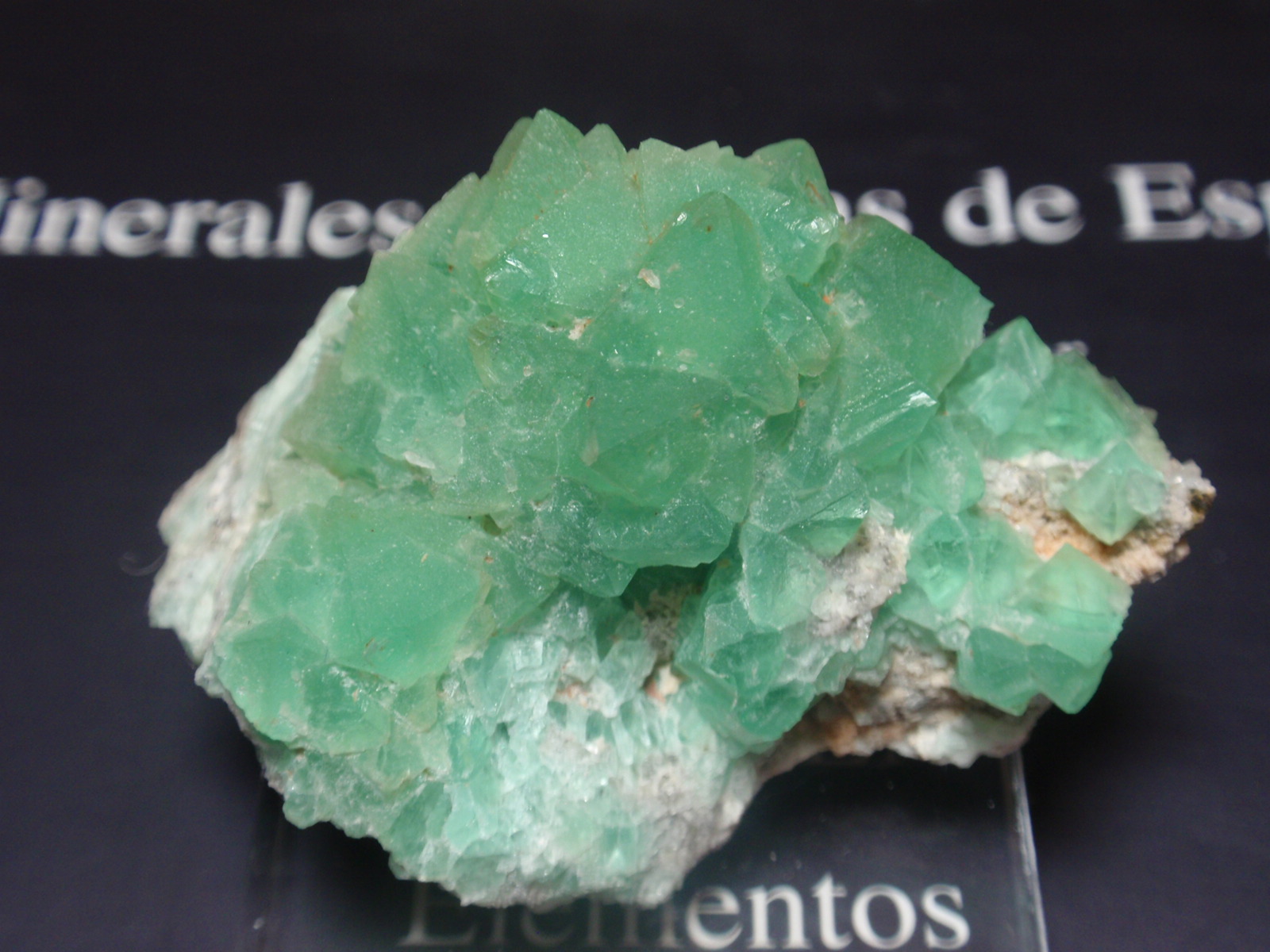 Fluorita
50x35
(Autor: Ignacio)