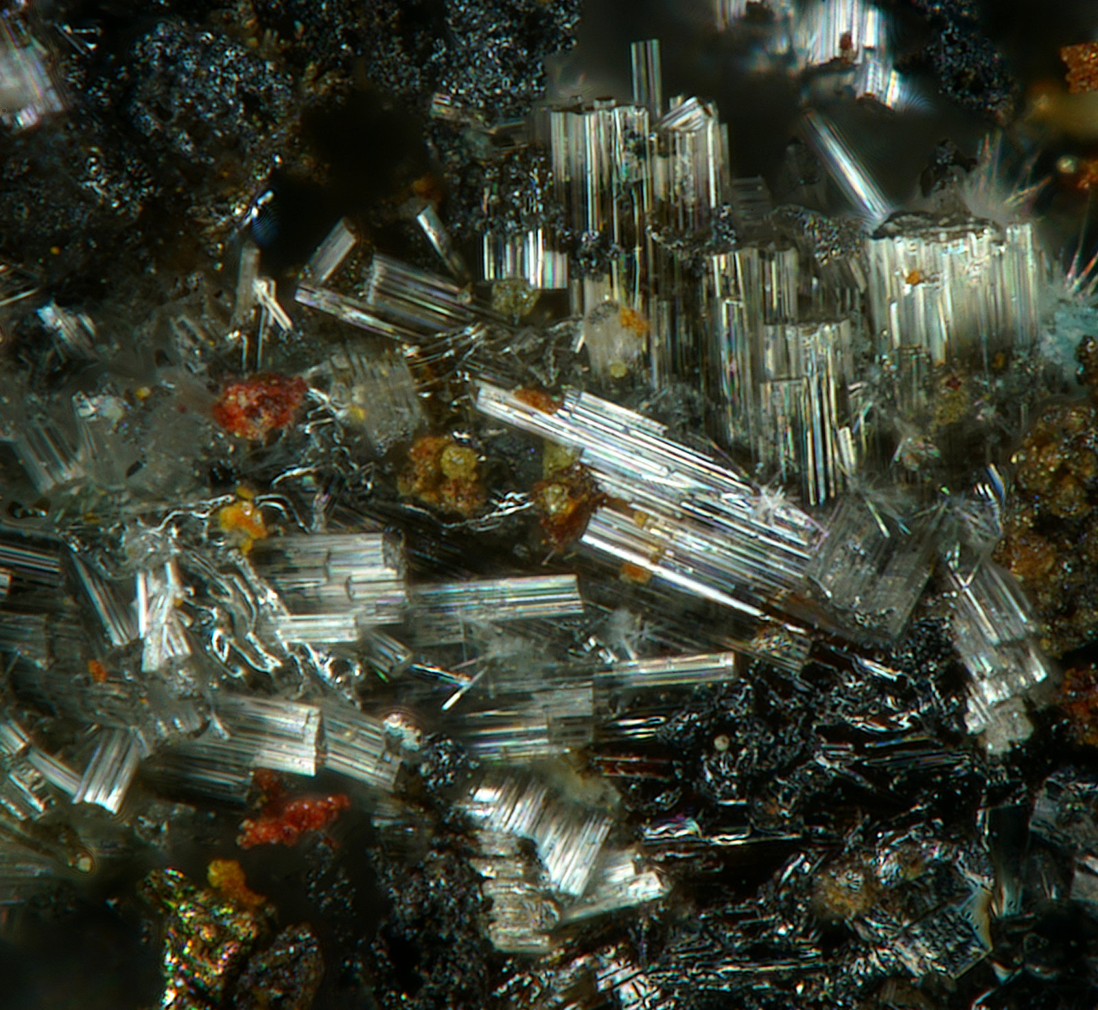 Penfieldita
fov 1 mm
(Autor: Antonio P. López)