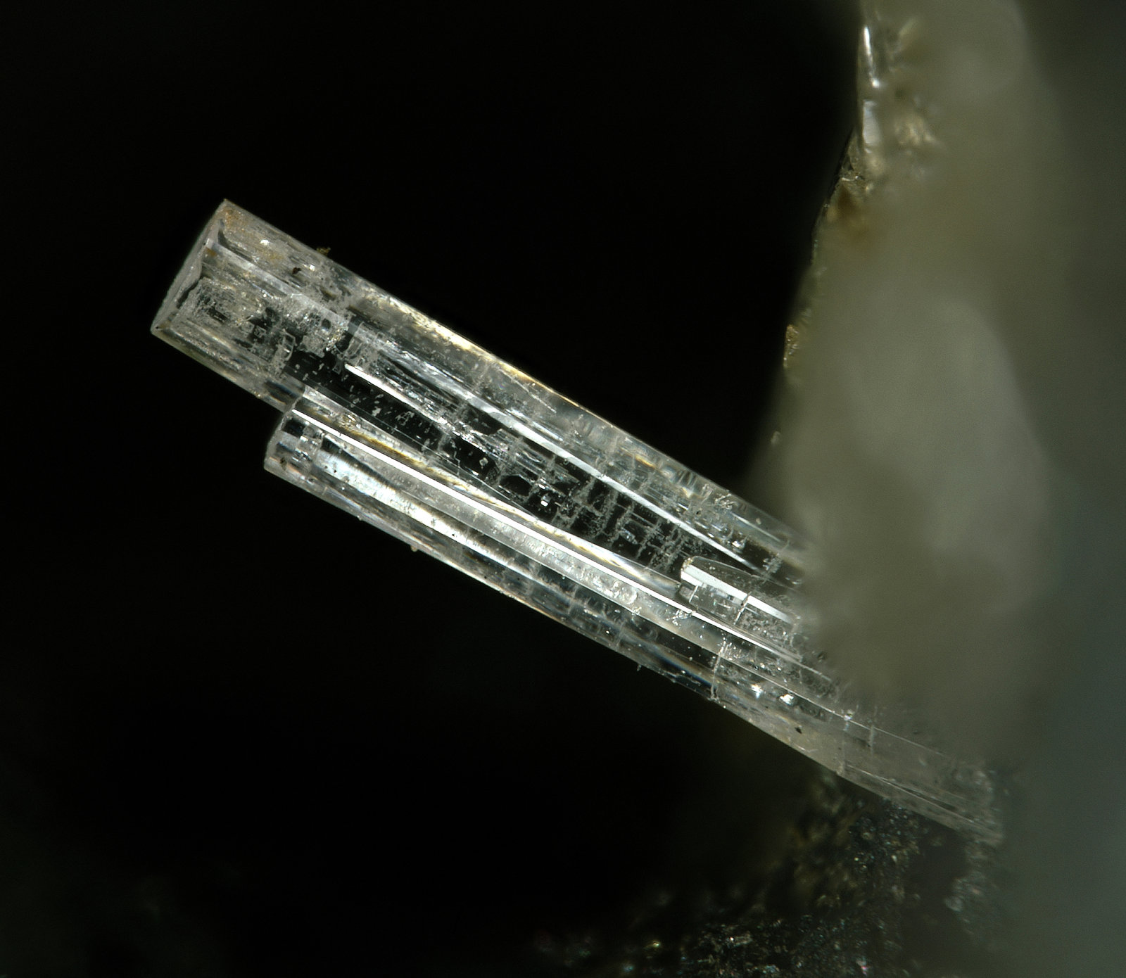 Penfieldita
Campo de visión 1,6 mm.
(Autor: Antonio P. López)