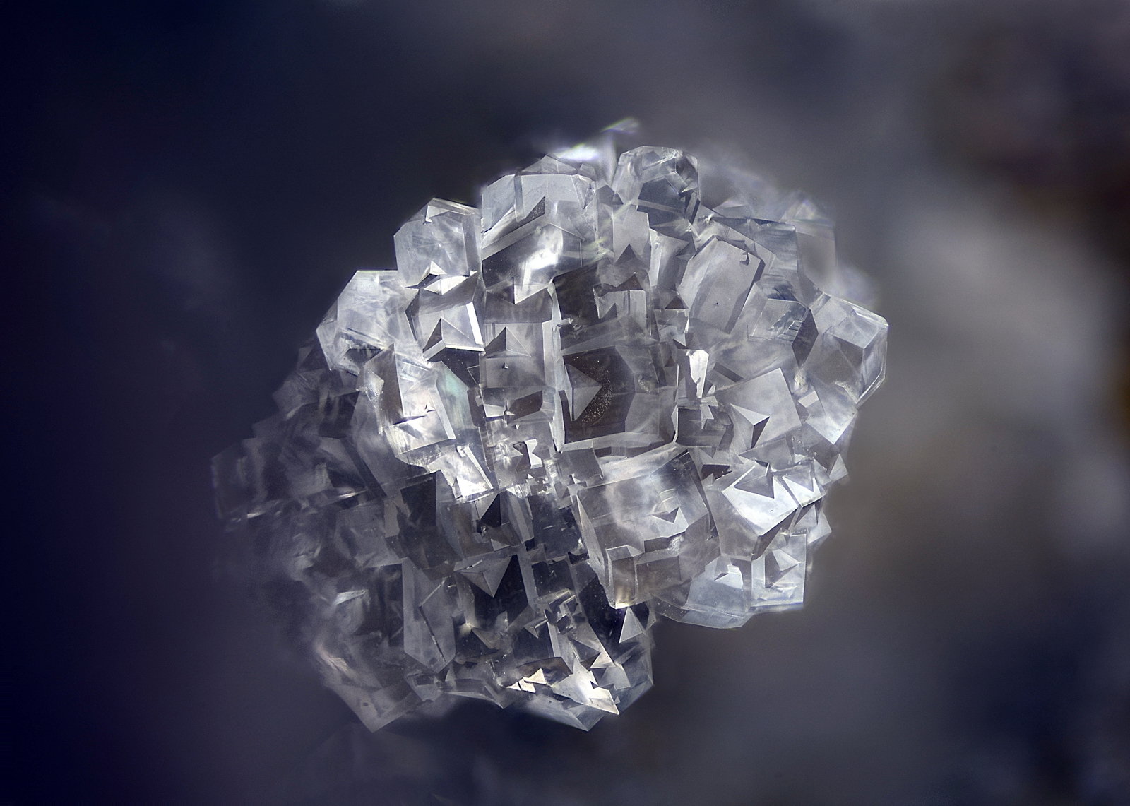 Phillipsita.
Campo de visión 2 mm
(Autor: Juan Miguel)