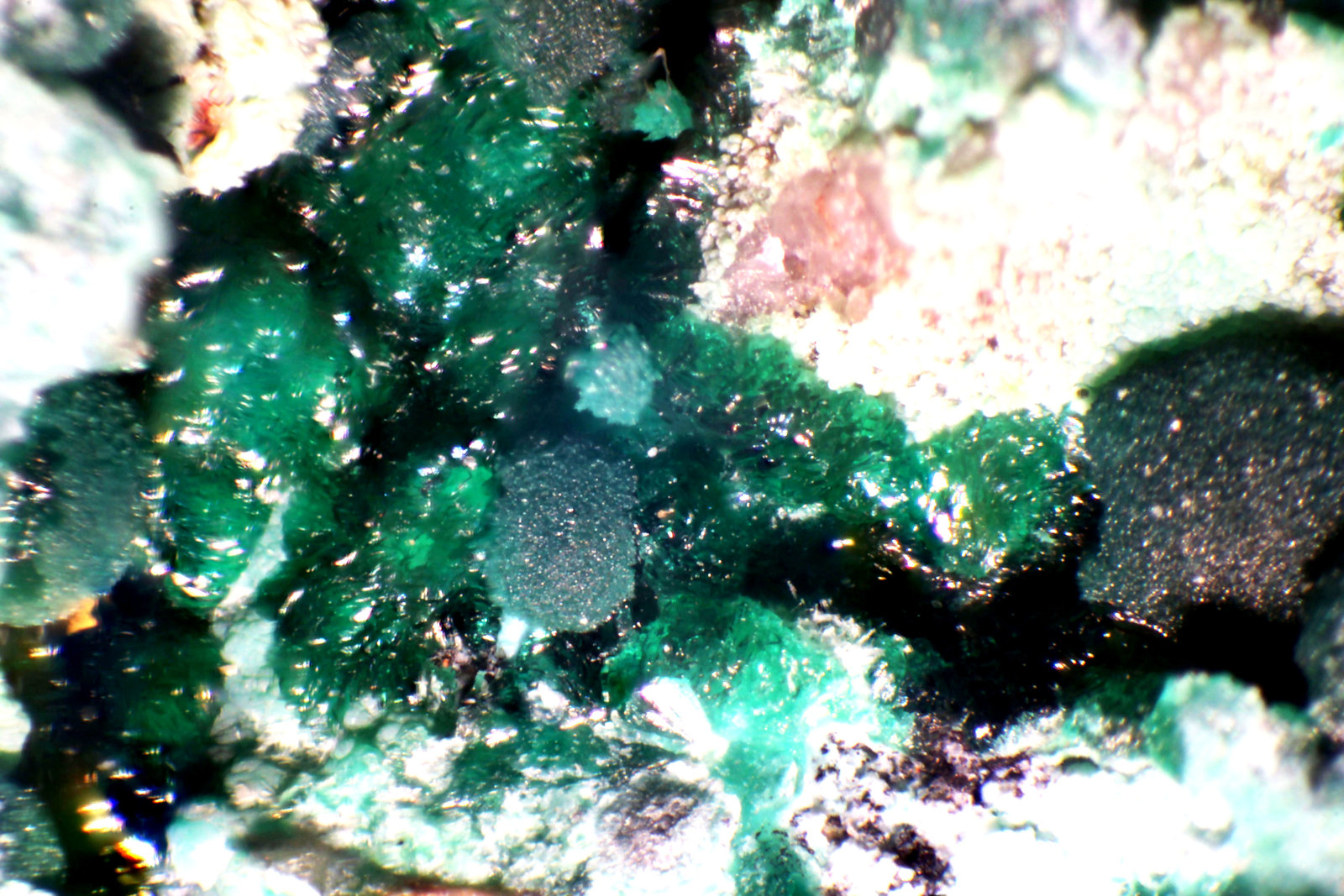Philipsburgita
Detalle
(Autor: José Luis Zamora)