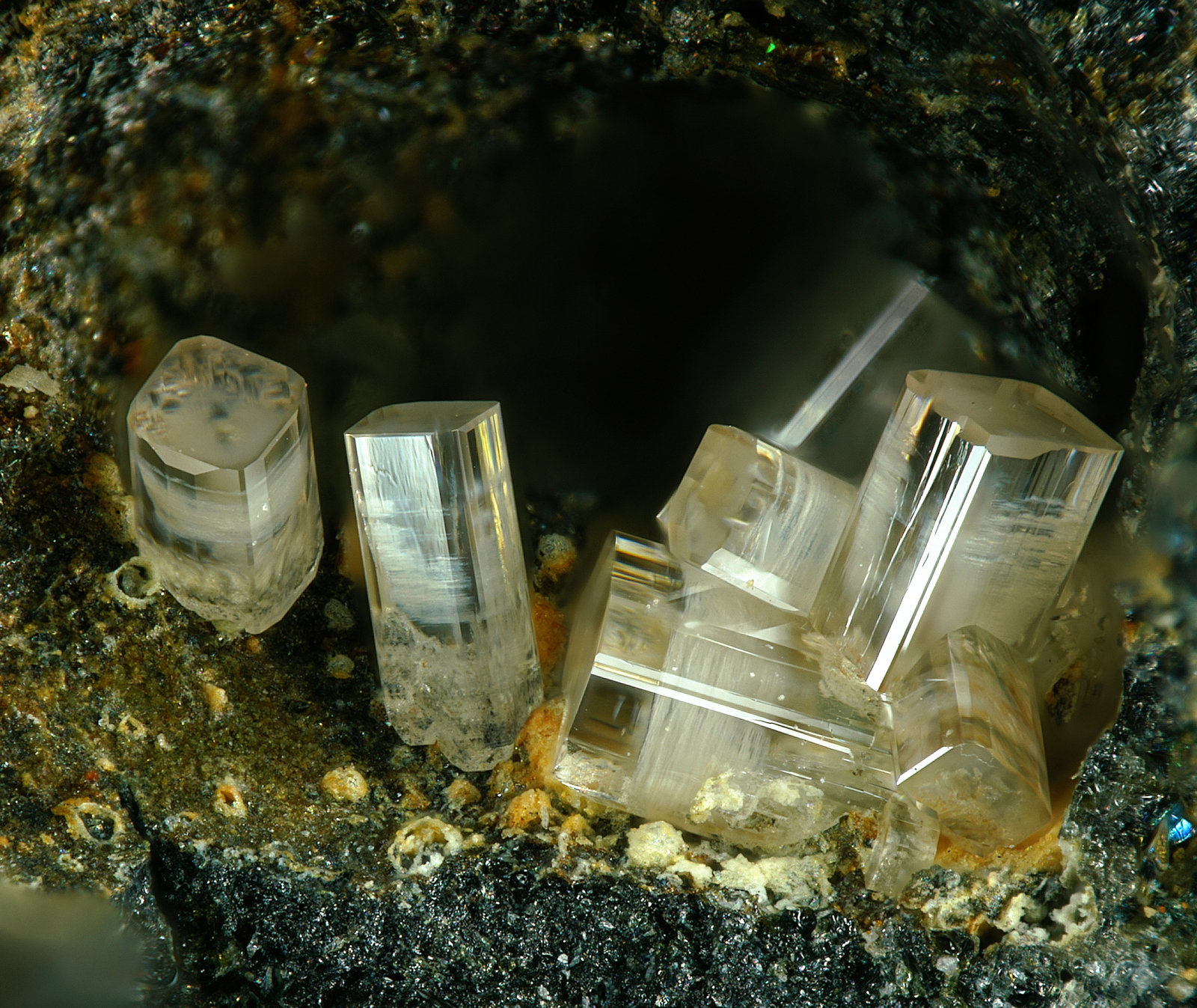 Phosgenita
Campo de visión 3,7 mm.
(Autor: Antonio P. López)
