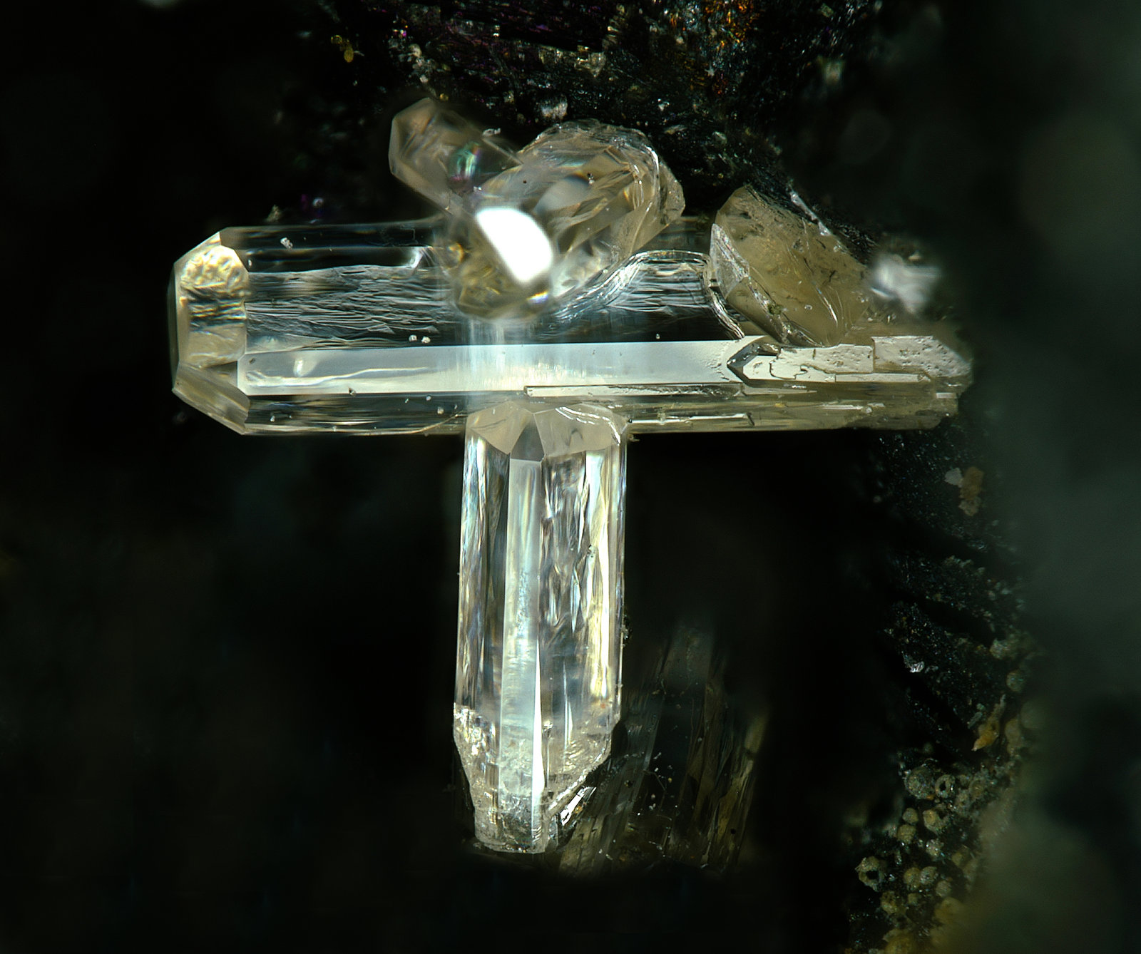 Phosgenita
Campo de visión 2,2 mm.
(Autor: Antonio P. López)