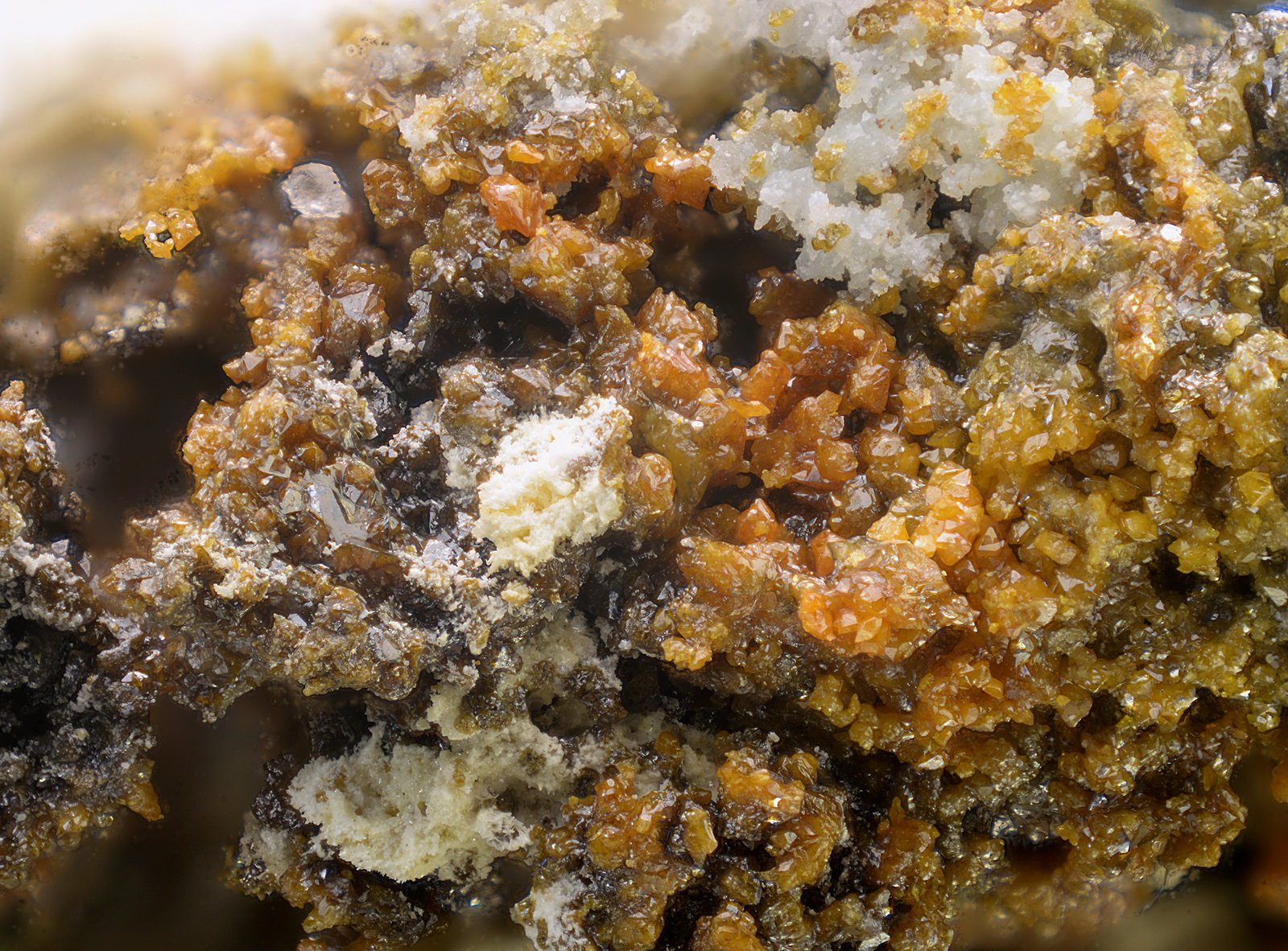Descloizita
Campo de visión de 12 mm
(Autor: Antonio Carmona)