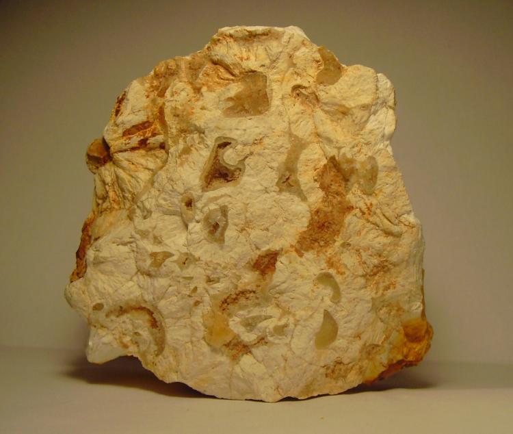 fosforita
7x7x3 cm.
(Autor: Joaquin Montoro)