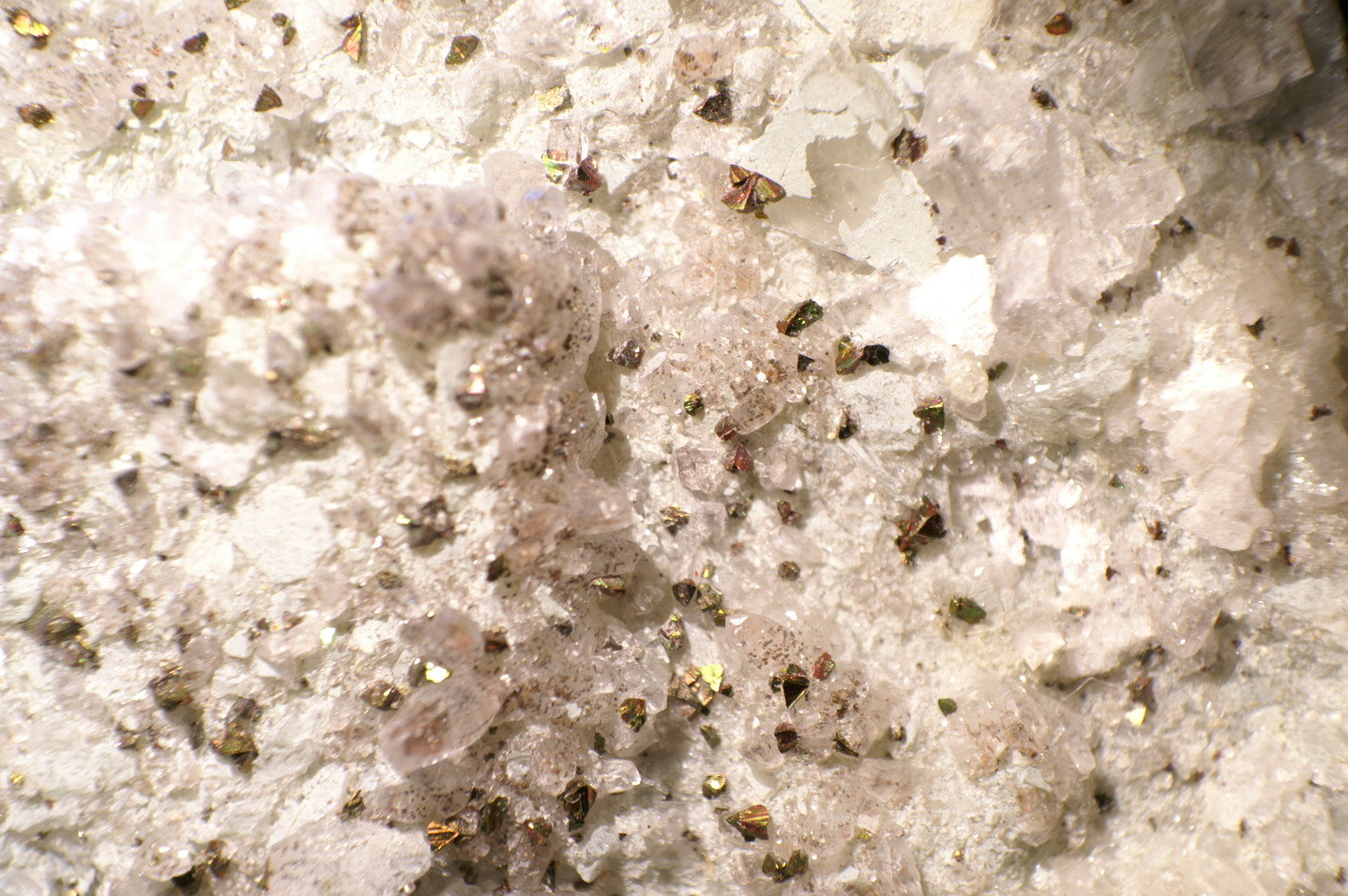 Calcopirita sobre Fluorita
Foto 2 cm ancho
(Autor: chatero15)