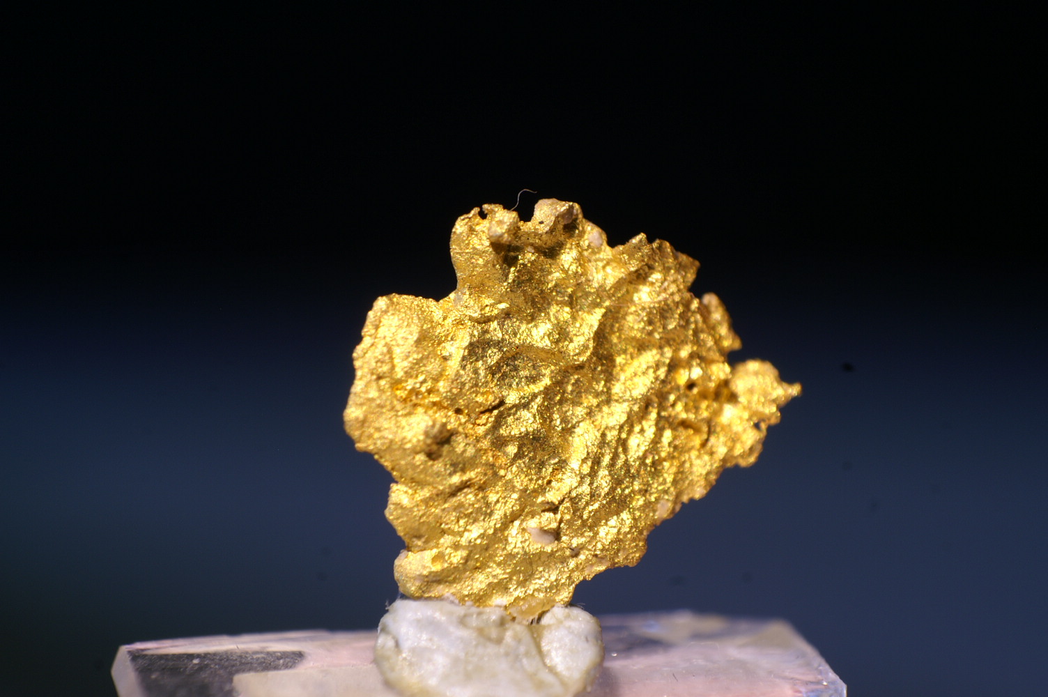Oro
Foto 2 cm ancho
(Autor: chatero15)