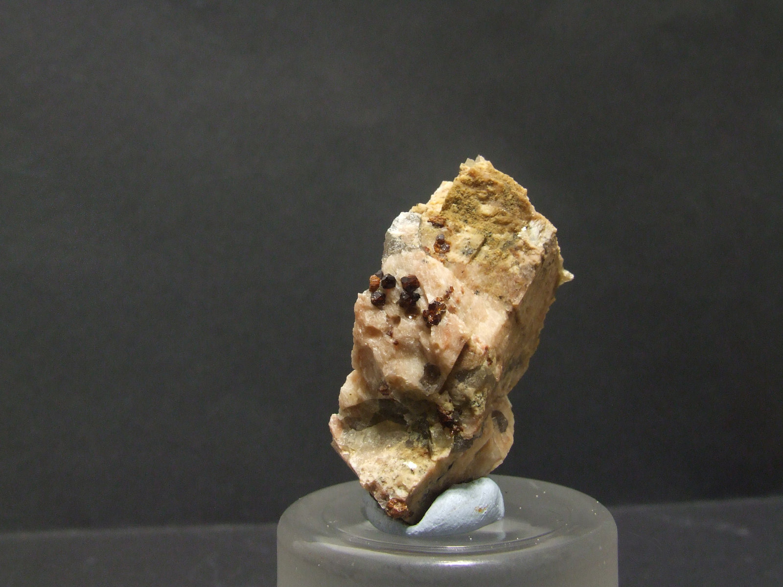 Granate
48x22mm. Cristales: 2mm
(Autor: joaquin gar)