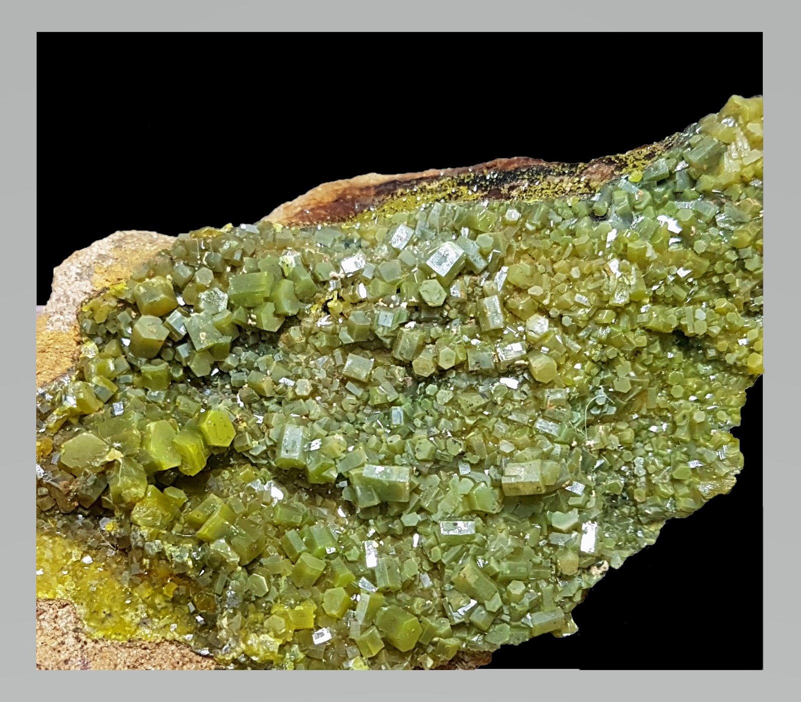 Piromorfita
11,5x4,5x1,8 cm.
(Autor: Nacho)