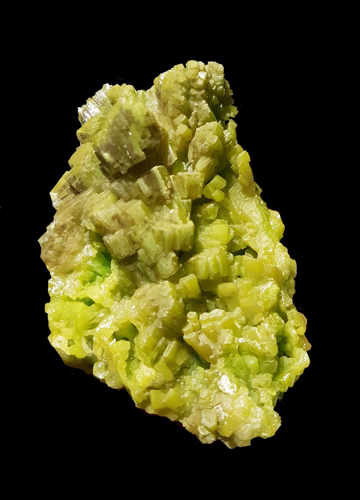 Piromorfita
7,5x6x4,3 cm.
(Autor: Nacho)