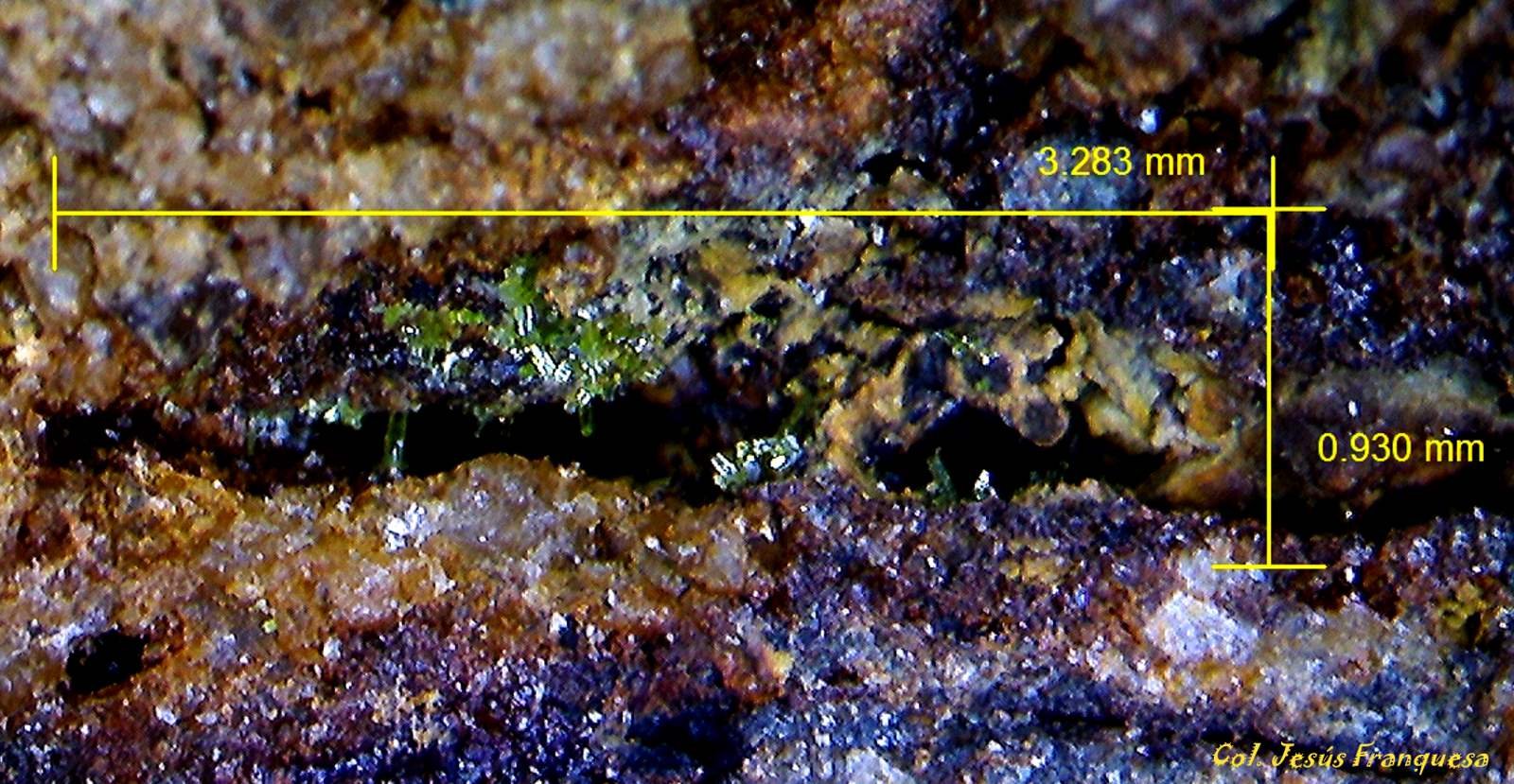 Piromorfita.
3´283 x 0´93 mm.
(Autor: Jesus Franquesa Baucells)