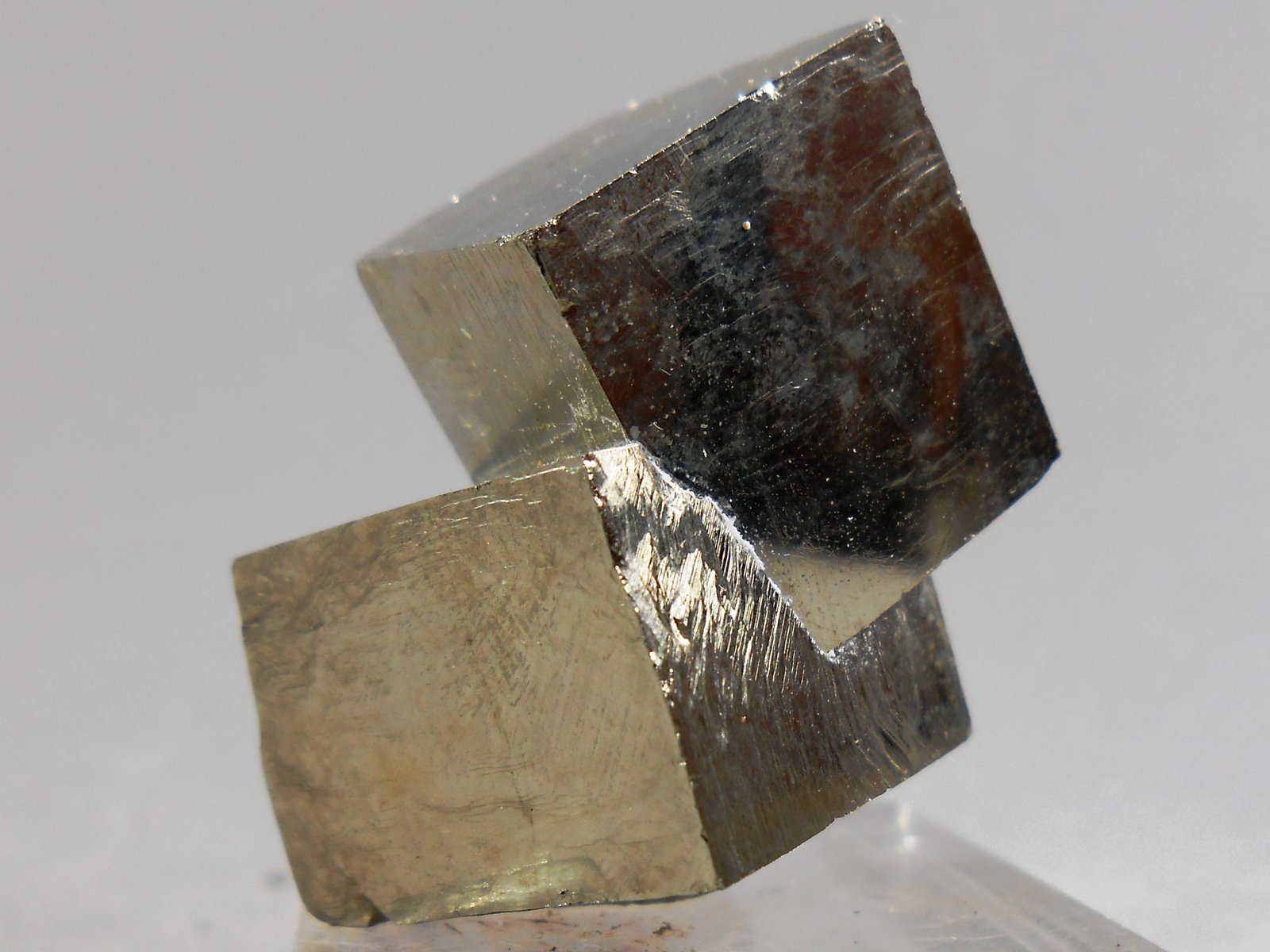 Pirita
35x30 mm
(Autor: Juan Espino)