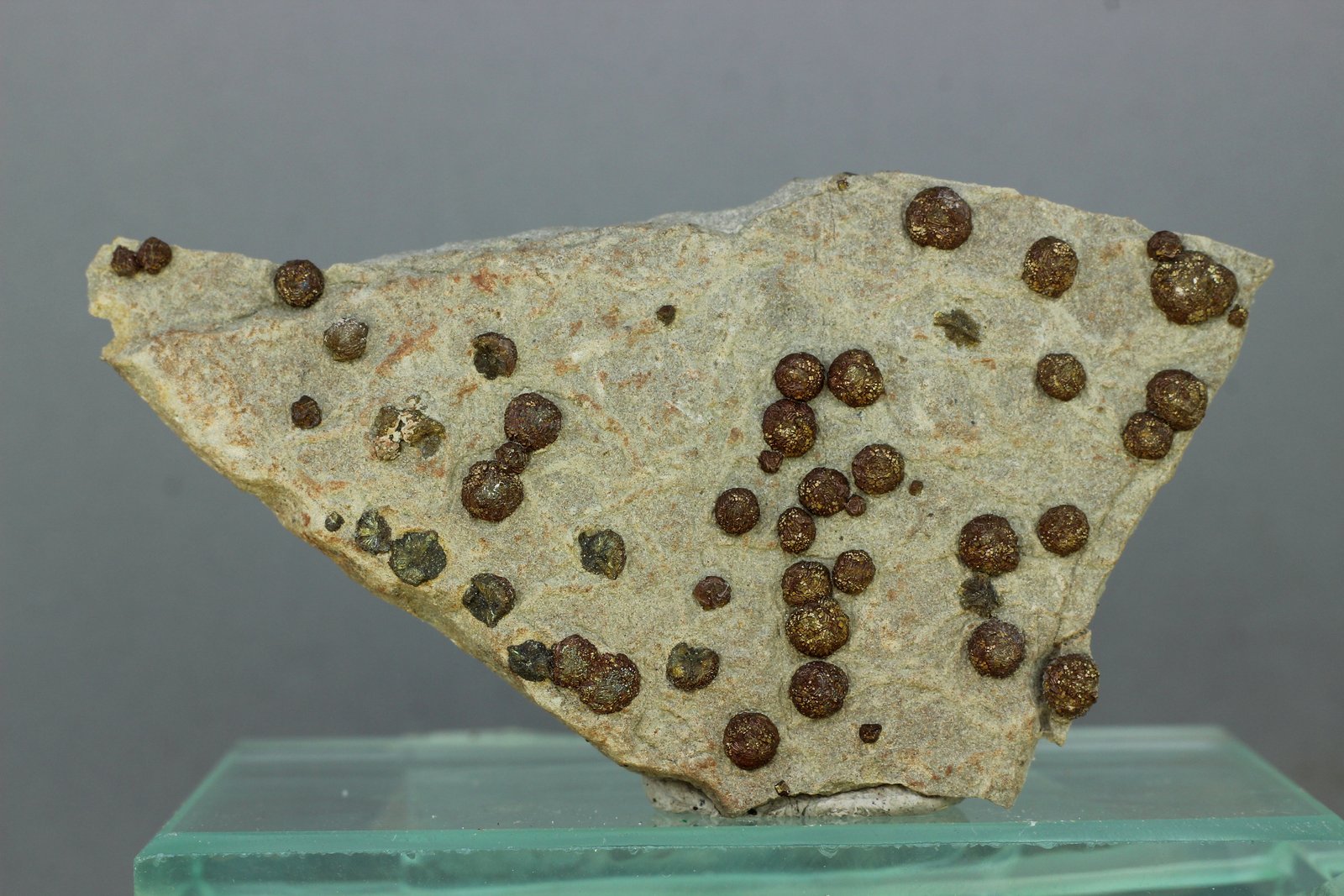 Pirita
69x36x07 mm
(Autor: Juan Espino)