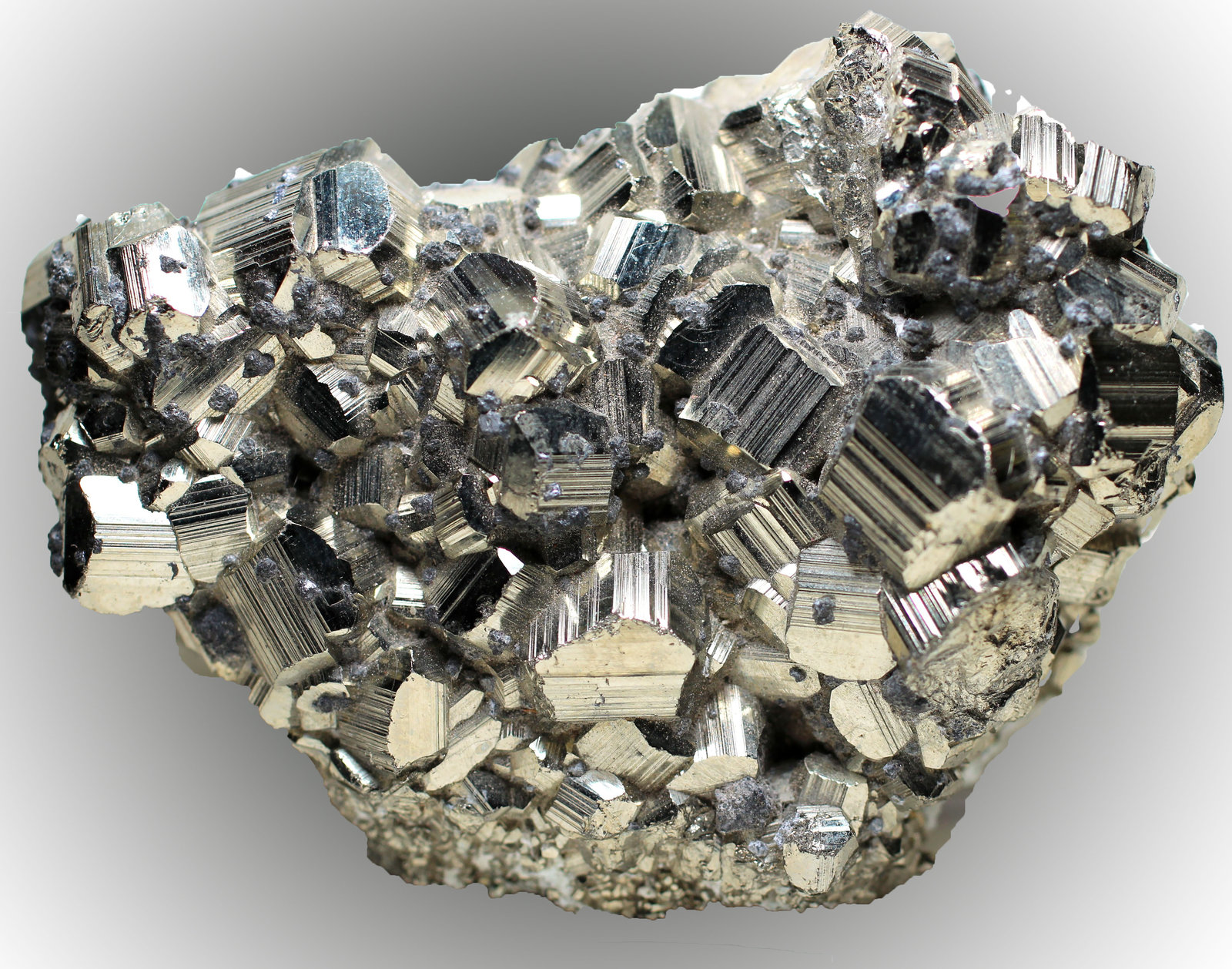 Pirita
78 x 53 x 35 mm
(Autor: José Luis Zamora)
