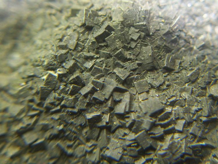 Pirita
Encuadre de 2 cm.
(Autor: Darío Menéndez)