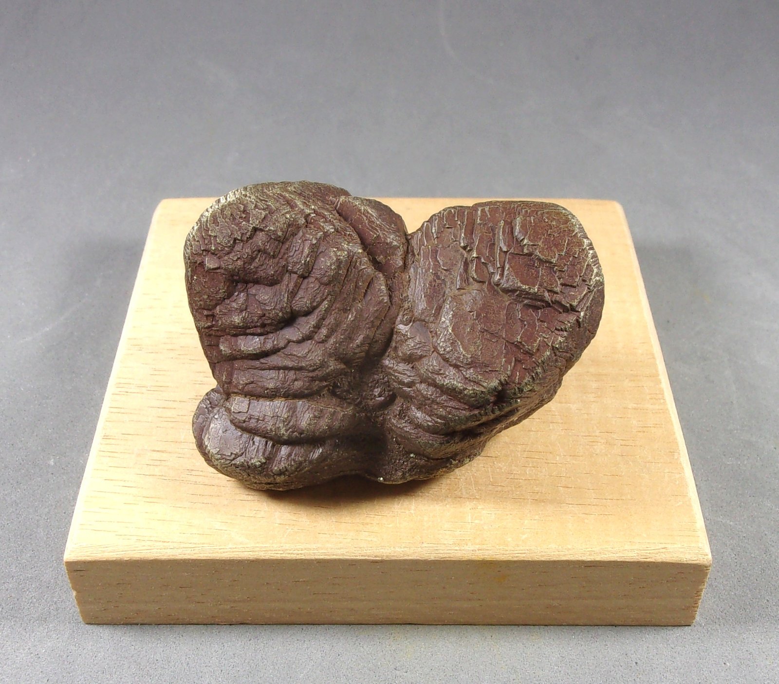 Pirita
5,2 x 4,2 x 3,8 cm.  176,3 gramos.
(Autor: J. G. Alcolea)
