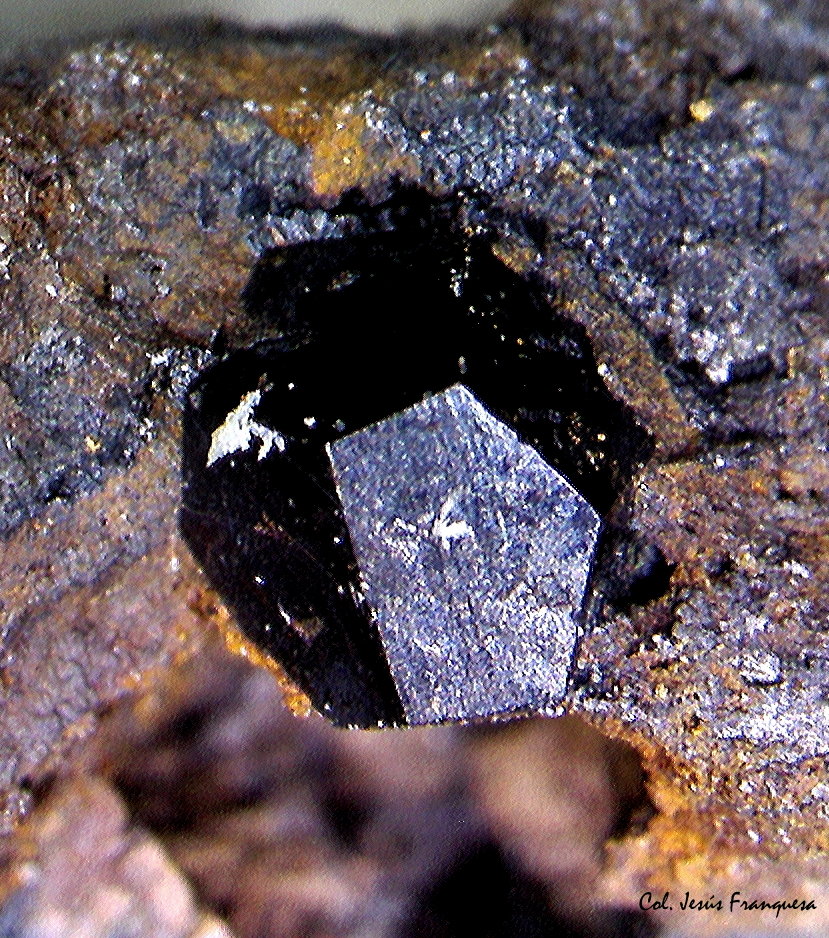 Pirita.
2´386 x 2´028 mm.
(Autor: Jesus Franquesa Baucells)