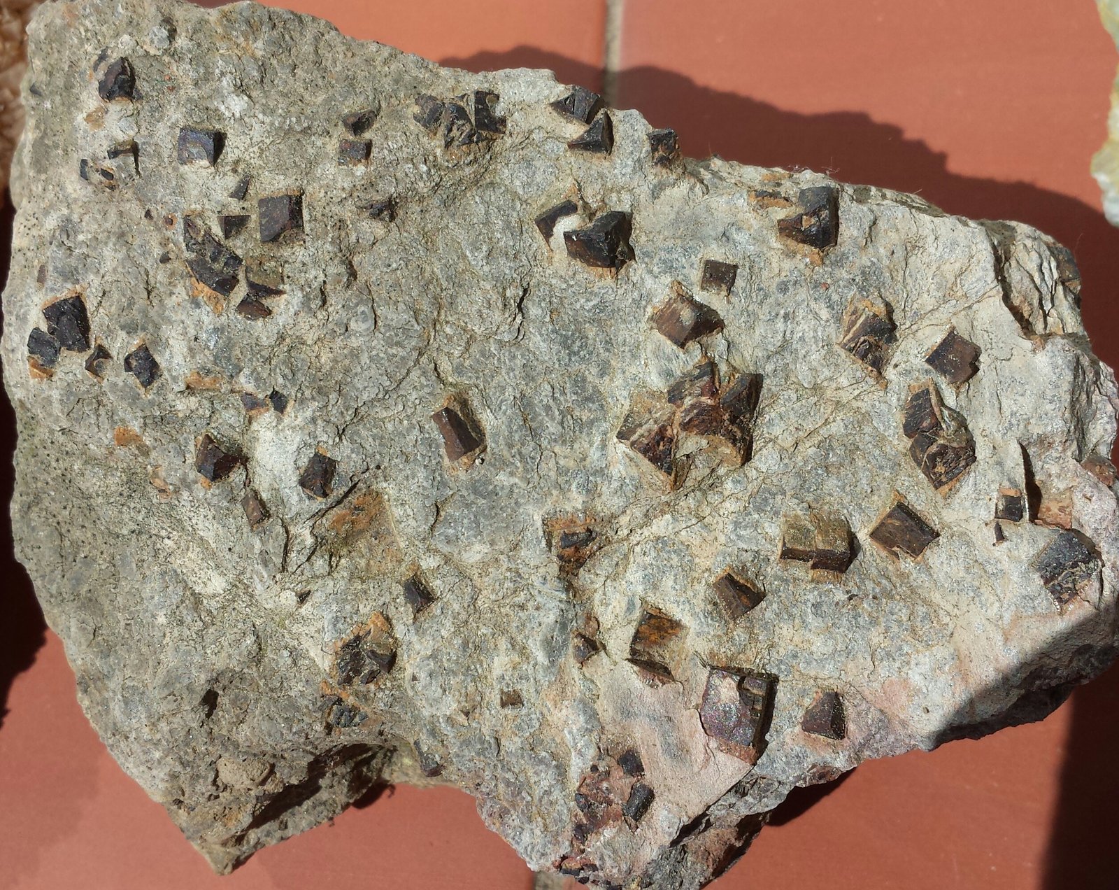 Goethita pseudo Pirita
15 x 10 cm
(Autor: prudenci gatell)