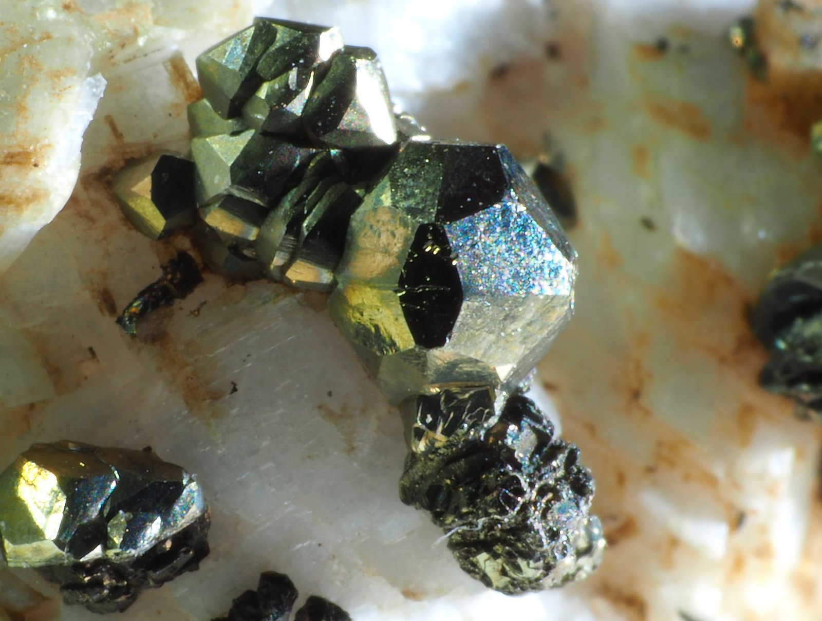 Pirita
Diámetro del cristal 3 mm aprox.
(Autor: Félix Marcos)