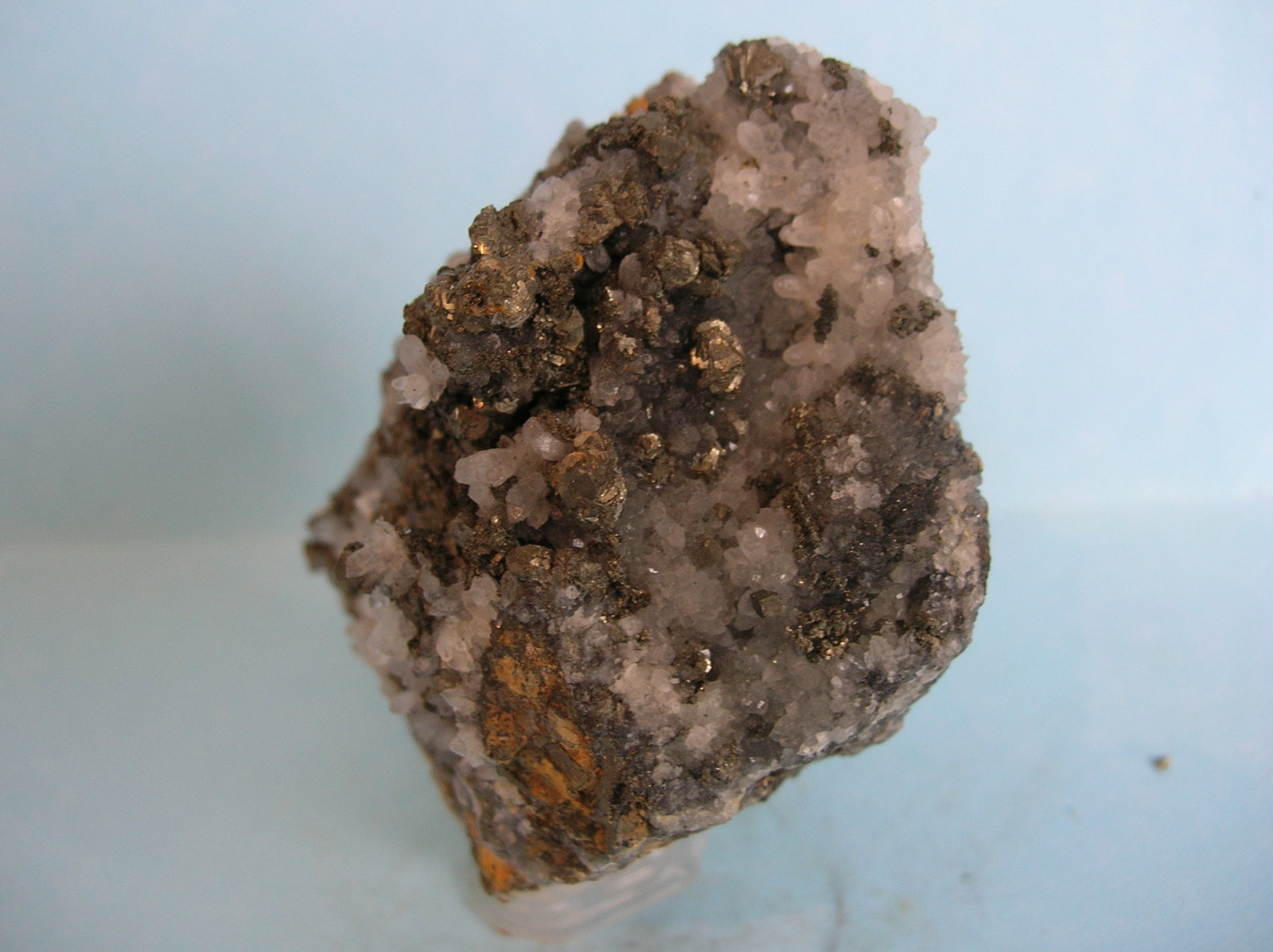 Pirita
8 x 6,5 cm
(Autor: Pedro Conesa)