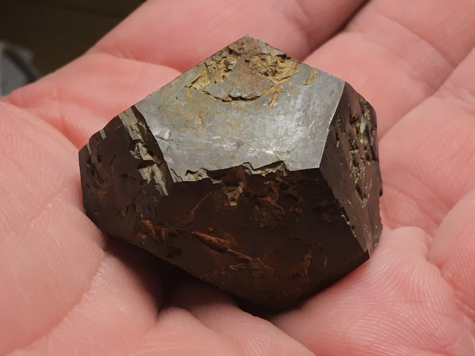 Pirita
Barranco de las Cañadas, El Pizcalejo, Caravaca de la Cruz, Comarca Noroeste, Región de Murcia (Murcia), España
4.5 x 4 cm
(Autor: Matias Raja)