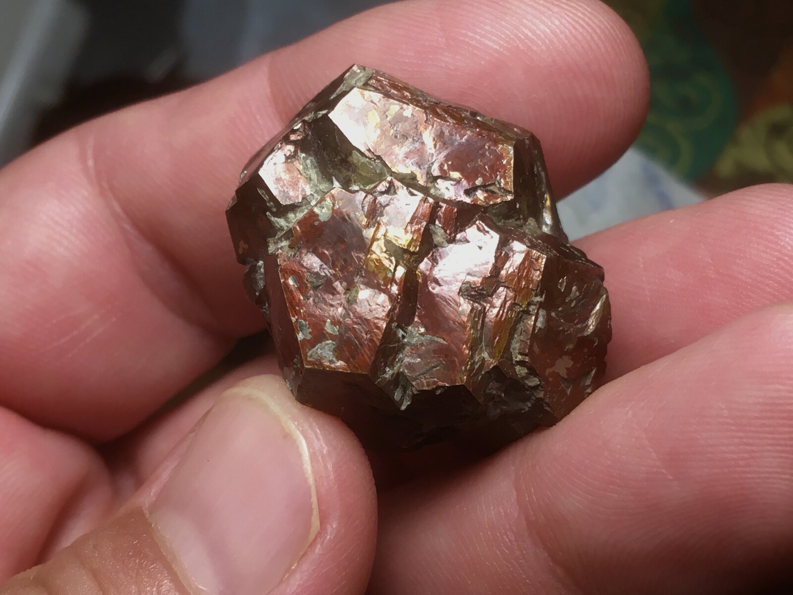 Pirita
Barranco de las Cañadas, El Pizcalejo, Caravaca de la Cruz, Comarca Noroeste, Región de Murcia (Murcia), España
3.5 x 3 cm
(Autor: Matias Raja)
