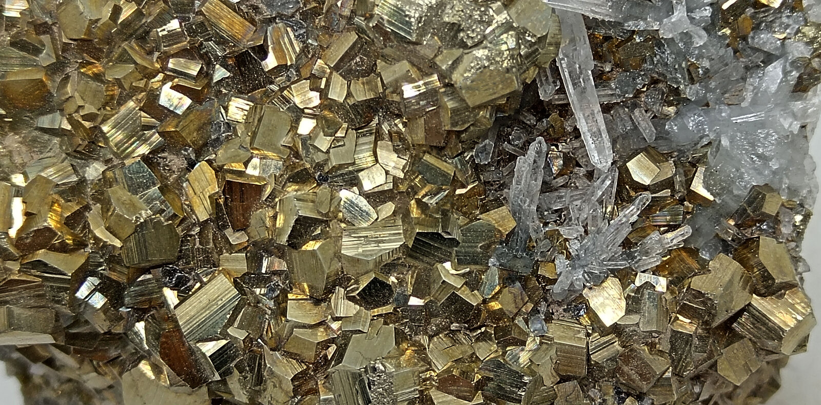 Pirita
Bonanza Mine, Concepción del Oro, Municipio Concepción del Oro, Zacatecas, Mexico
102x75x63 mm.
(Autor: Luis Edmundo Sánchez Roja)
