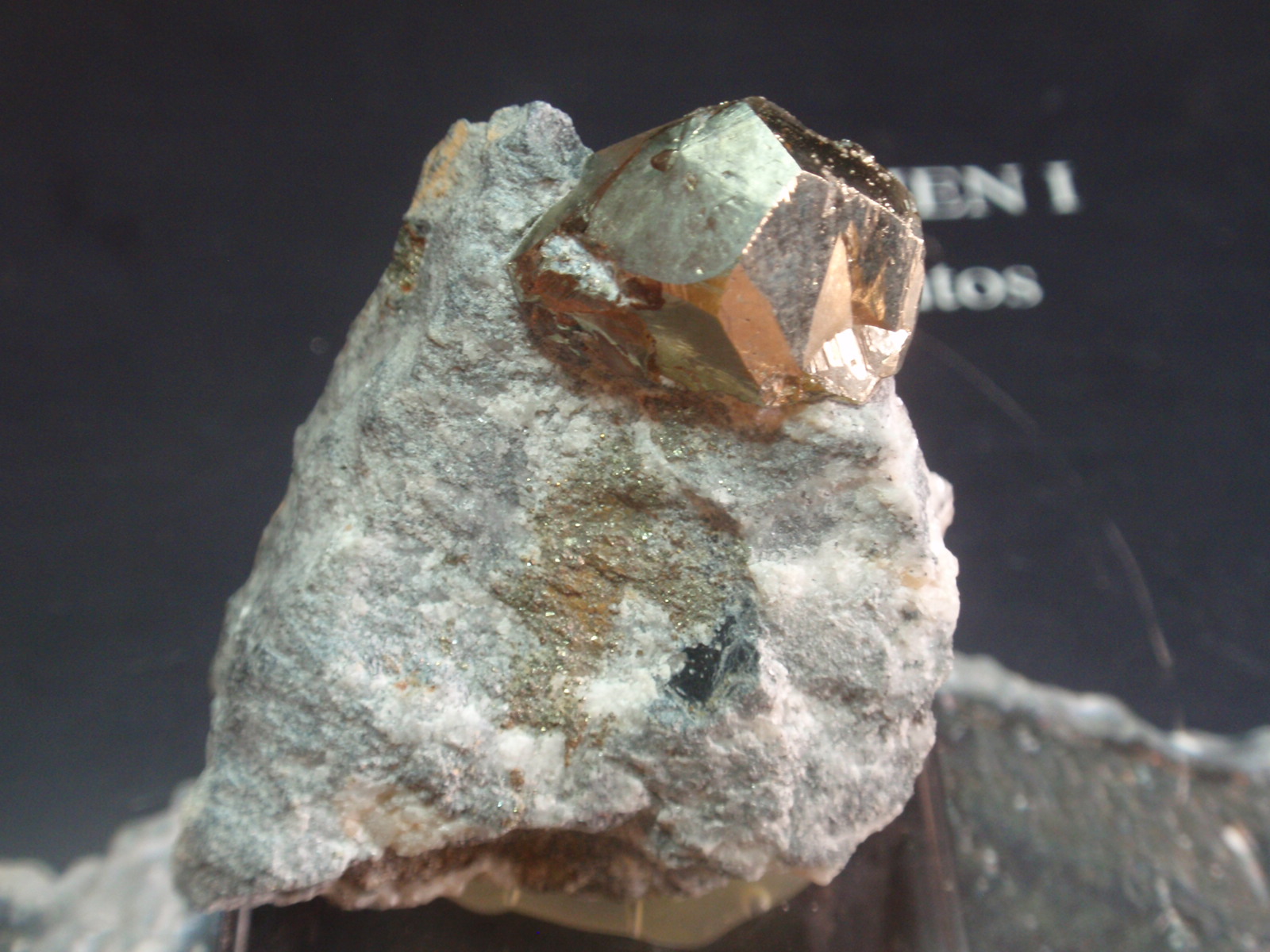 Pirita
20x15 mm
(Autor: Ignacio)