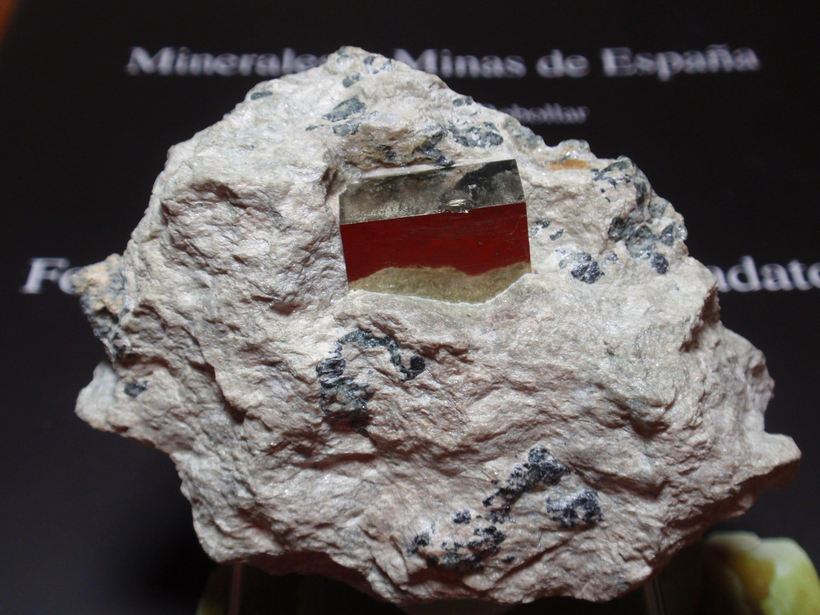 Pirita
70x55 mm
(Autor: Ignacio)