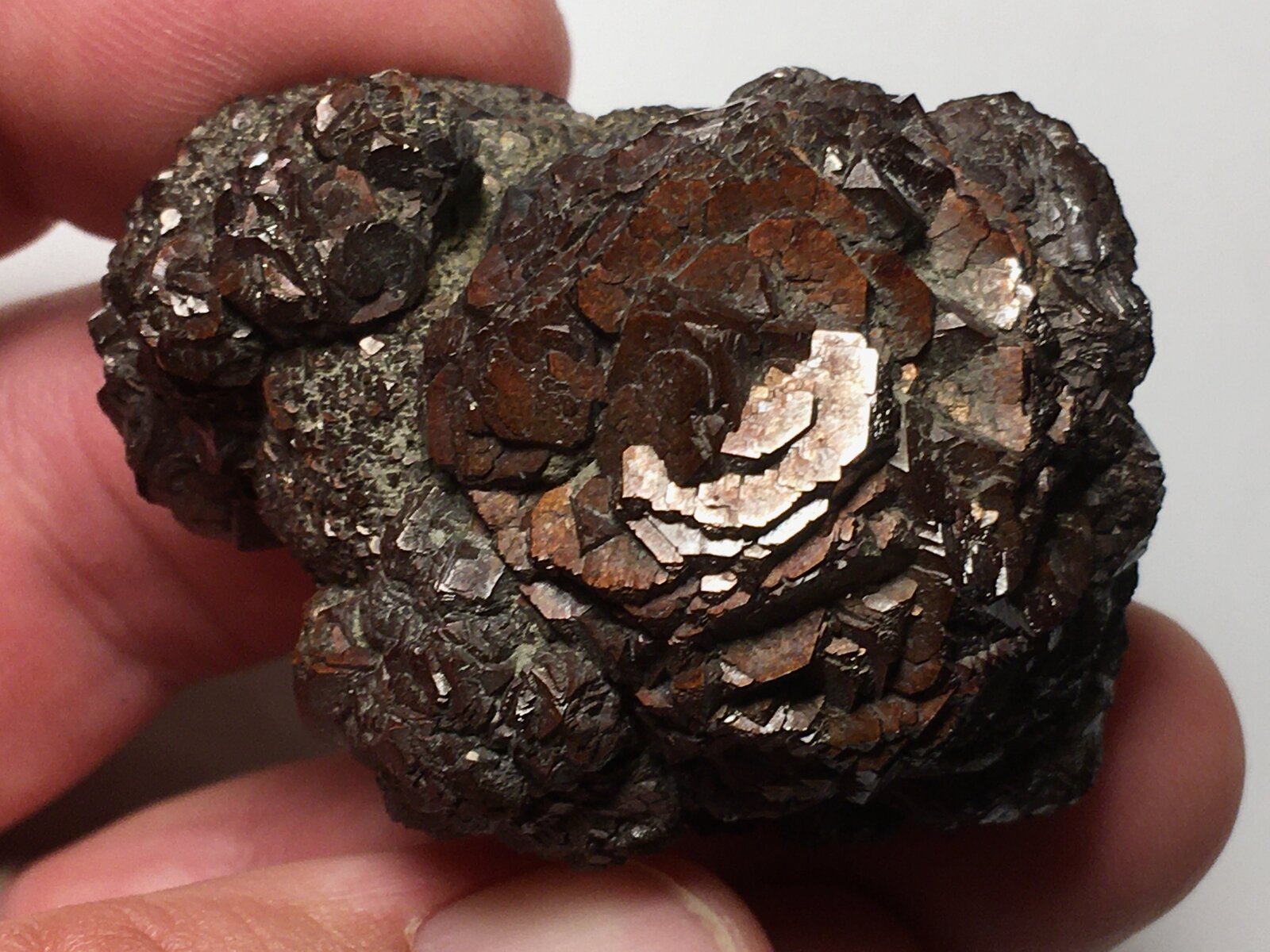Pirita
Ricote, Comarca Valle de Ricote, Región de Murcia (Murcia), España
5 x 4 cm
(Autor: Matias Raja)
