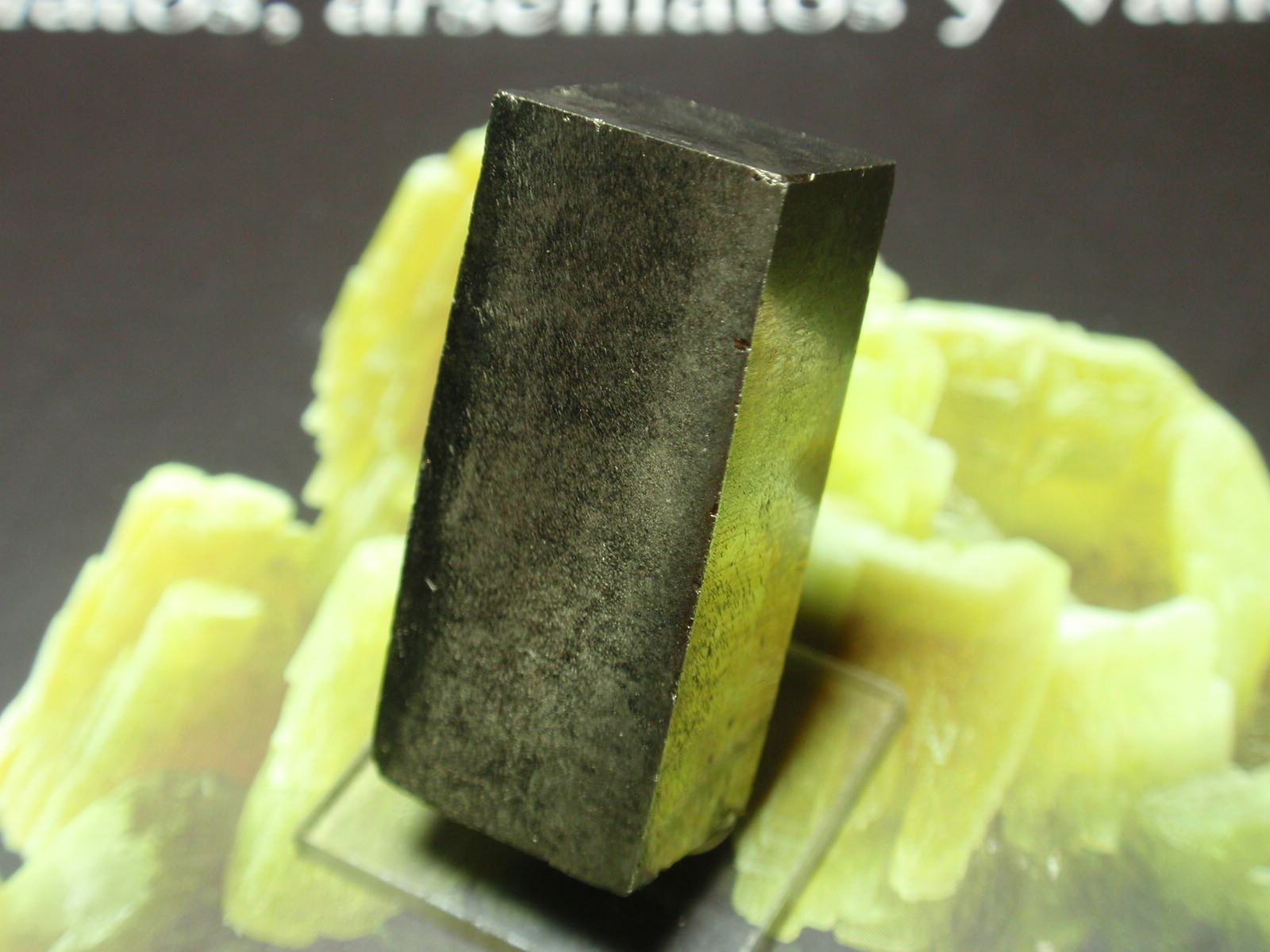 Pirita
13x30 mm
(Autor: Ignacio)