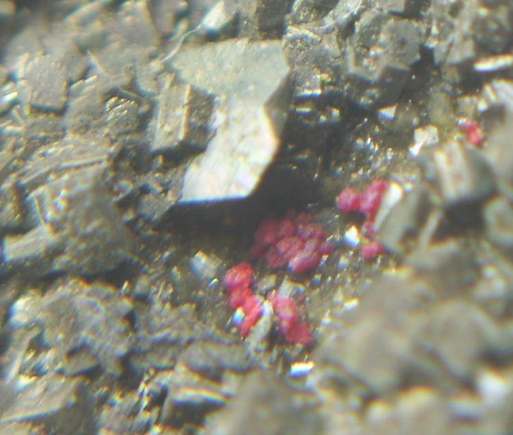 Cinabrio sobre Pirita
Encuadre de 1 cm.
(Autor: Darío Menéndez)