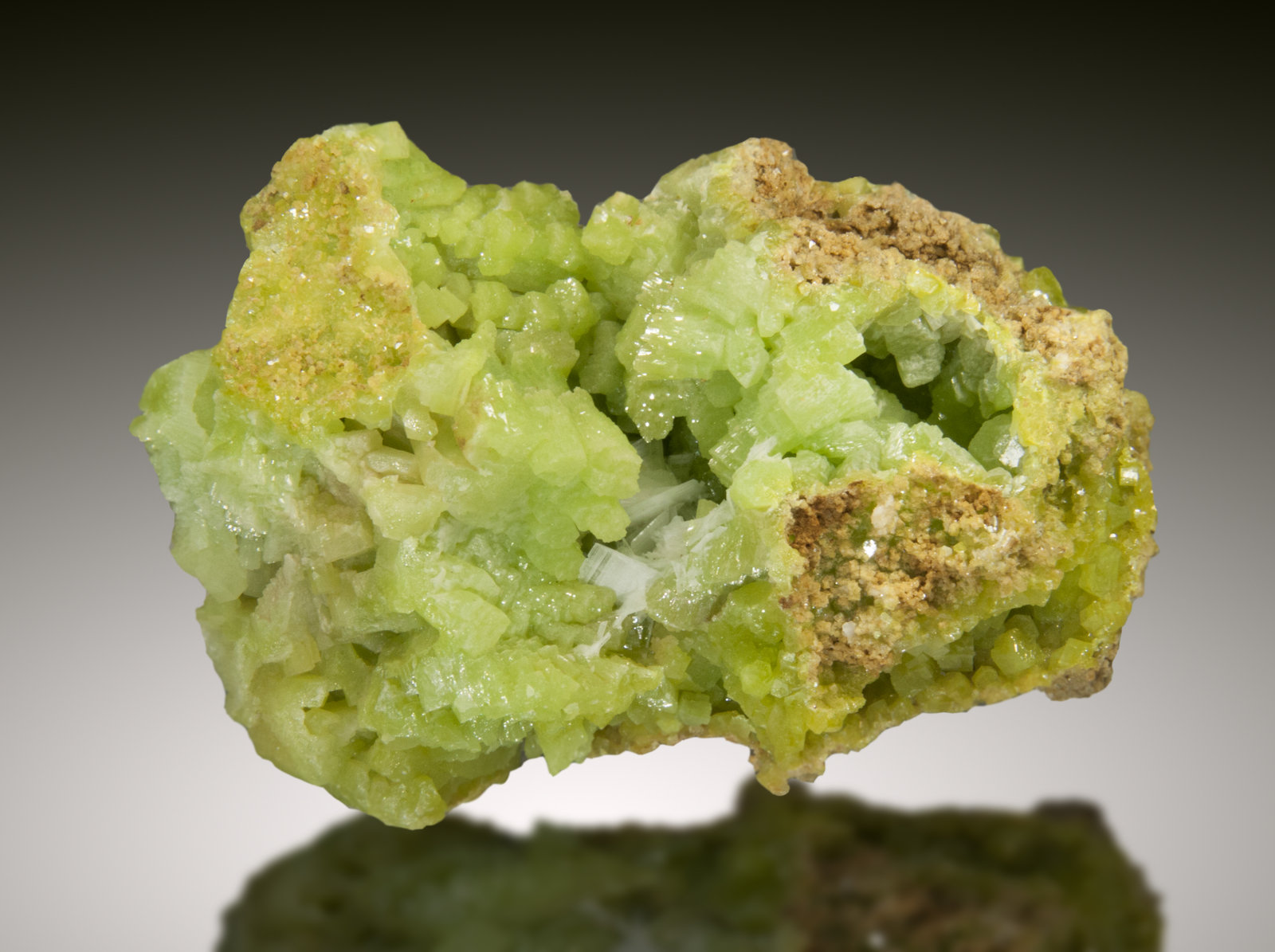 Piromorfita, Cerusita
7x5cm, cristales hasta 1.5cm
(Autor: Raul Vancouver)
