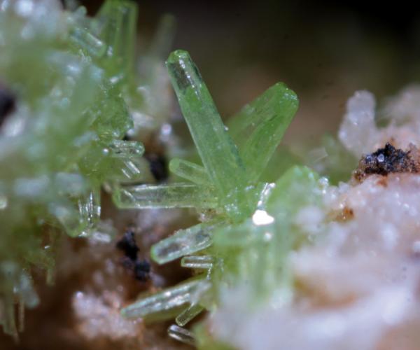 Piromorfita
4 mm.
(Autor: usoz)
