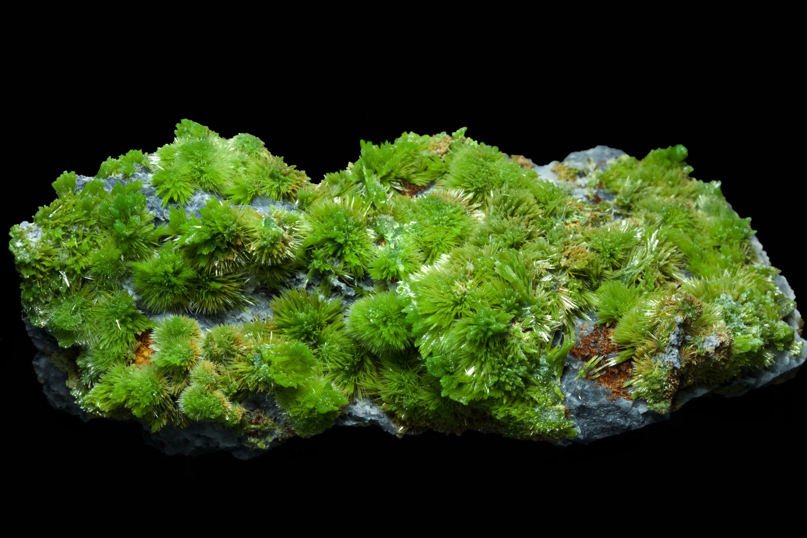 Piromorfita
8,0 x 3,8 cm.
(Autor: carles)