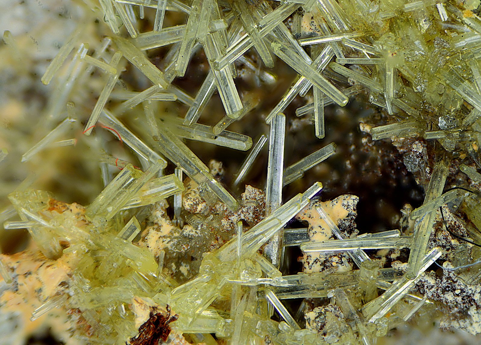 Piromorfita
Campo de visión de 6 mm
(Autor: Antonio Carmona)
